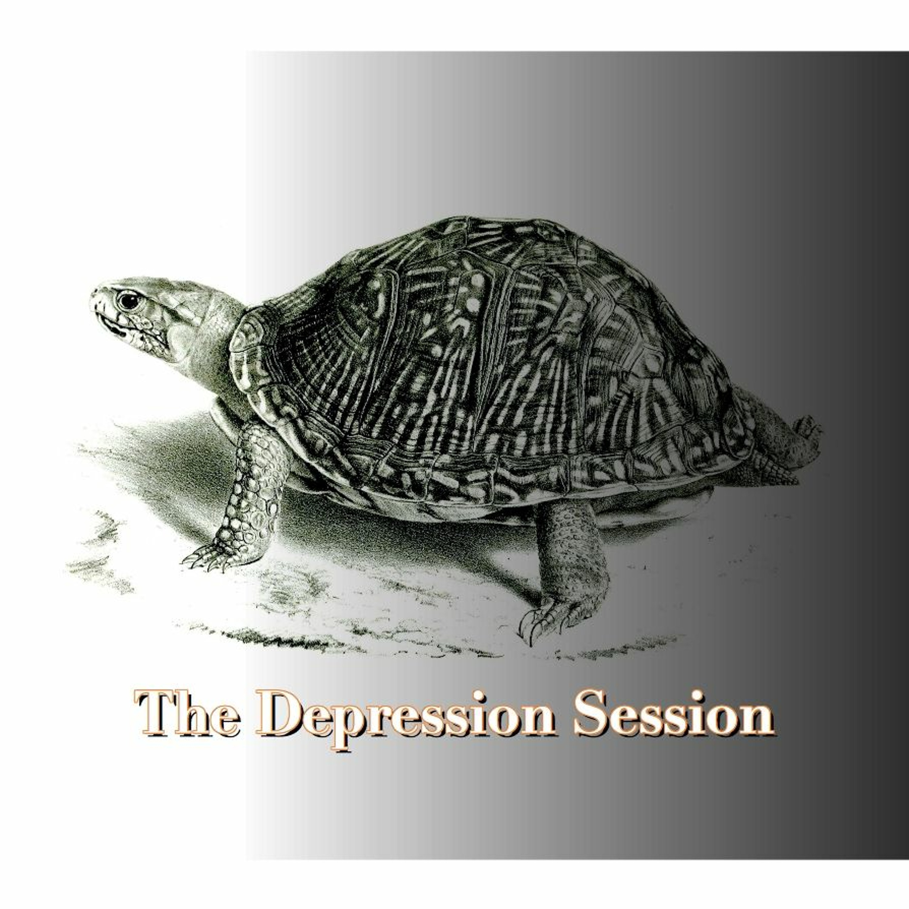 The Depression Session