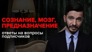Как мозг управляет нашим сознанием. Андрей Курпатов отвечает на вопросы Как мозг управляет нашим сознанием. Андрей Курпатов отвечает на вопросы