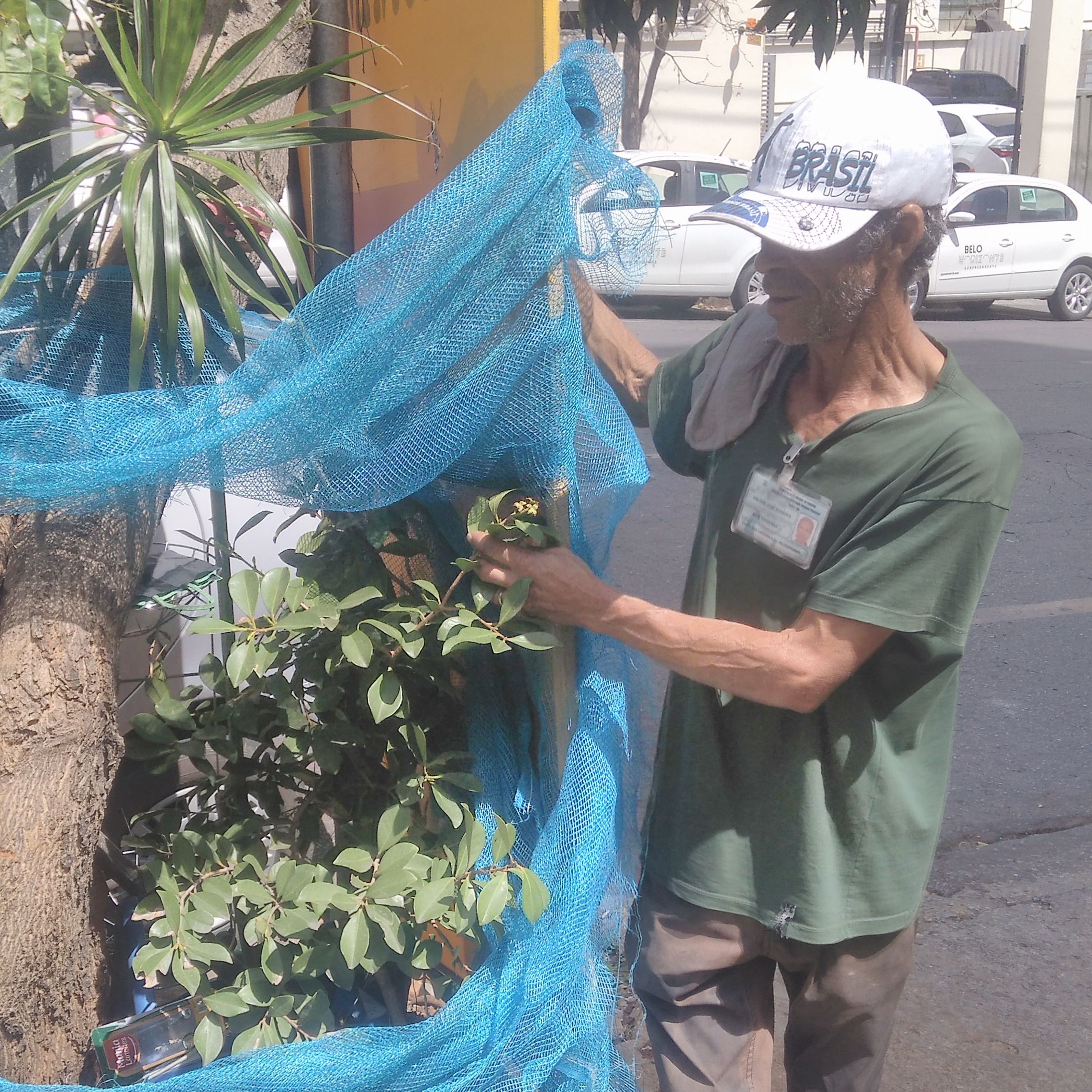 Valtinho, João Dote Serrote e os pés de cana Valtinho, João Dote Serrote e os pés de cana