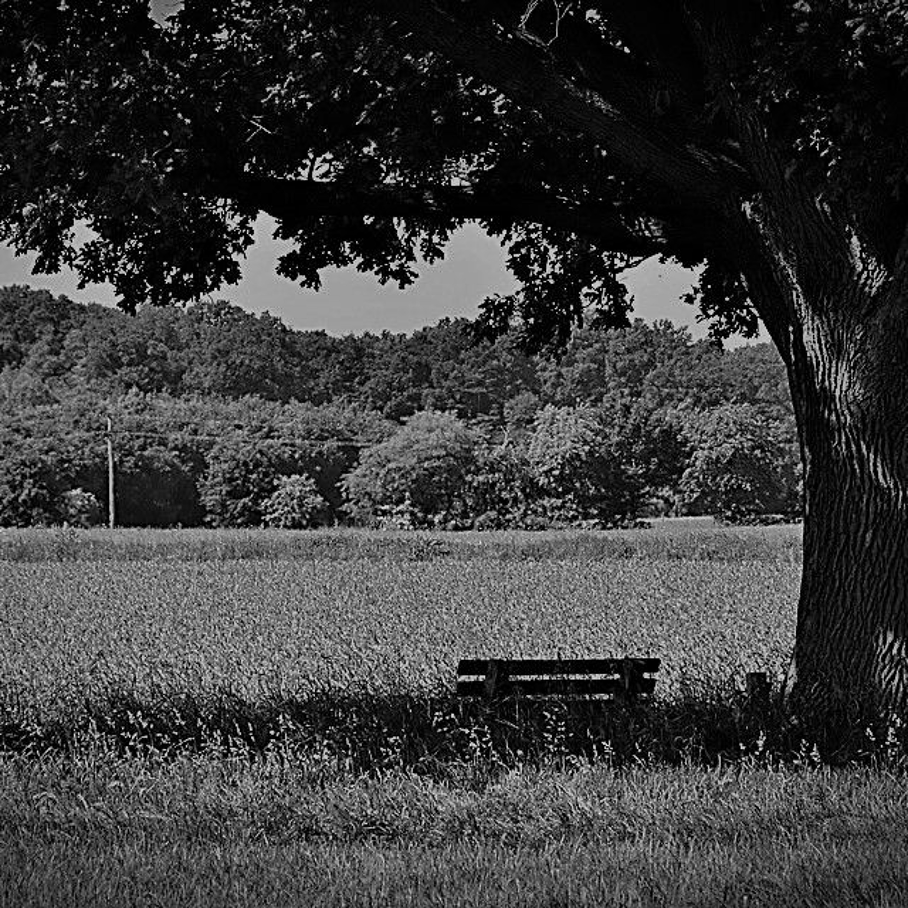 UITGELEZEN: ZKV (zeer korte verhalen)