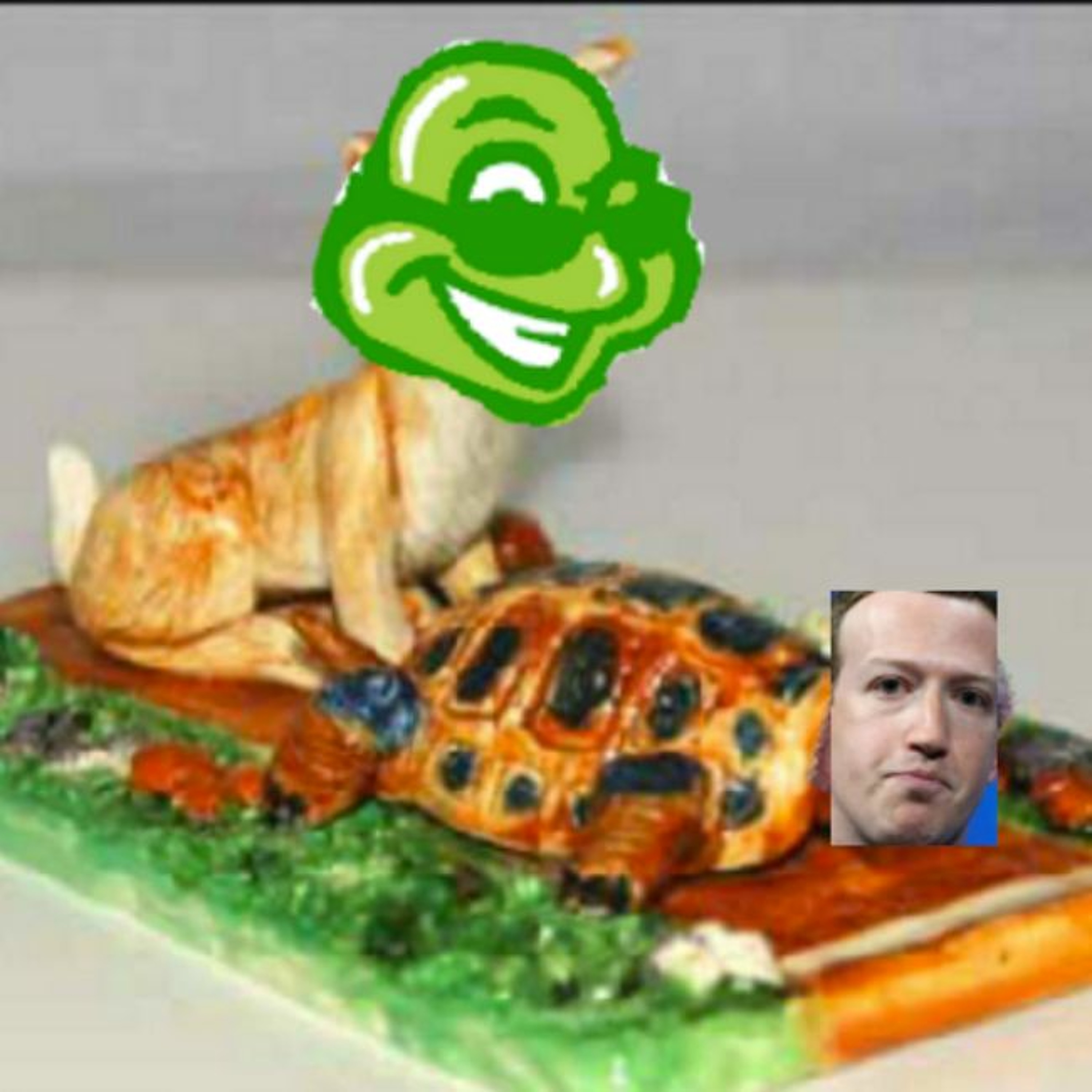 Turtleboy Live featuring North Shore Turtlebabe 9:9:18