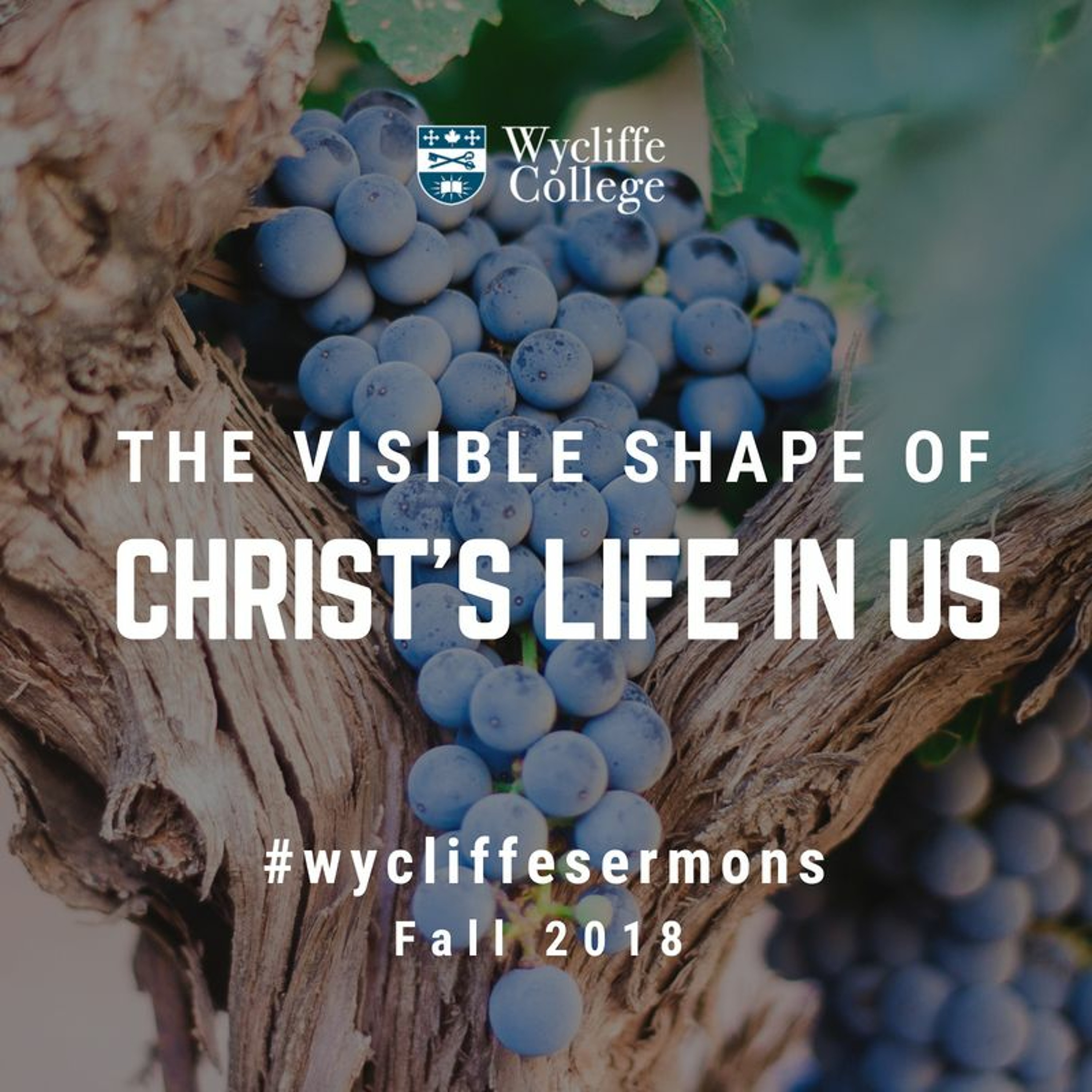 Wycliffe College