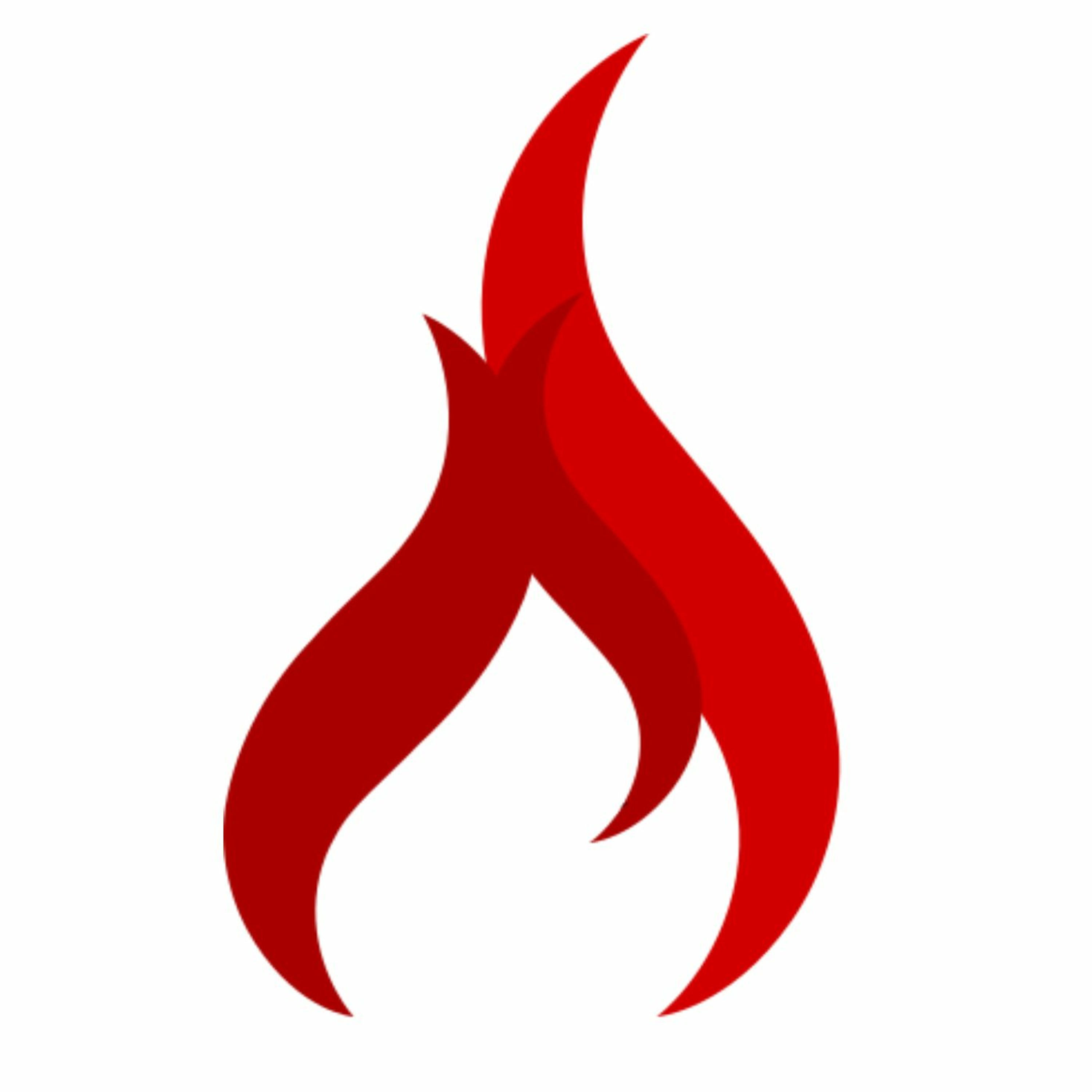 Fireside Cast with Deniz A. Erdal