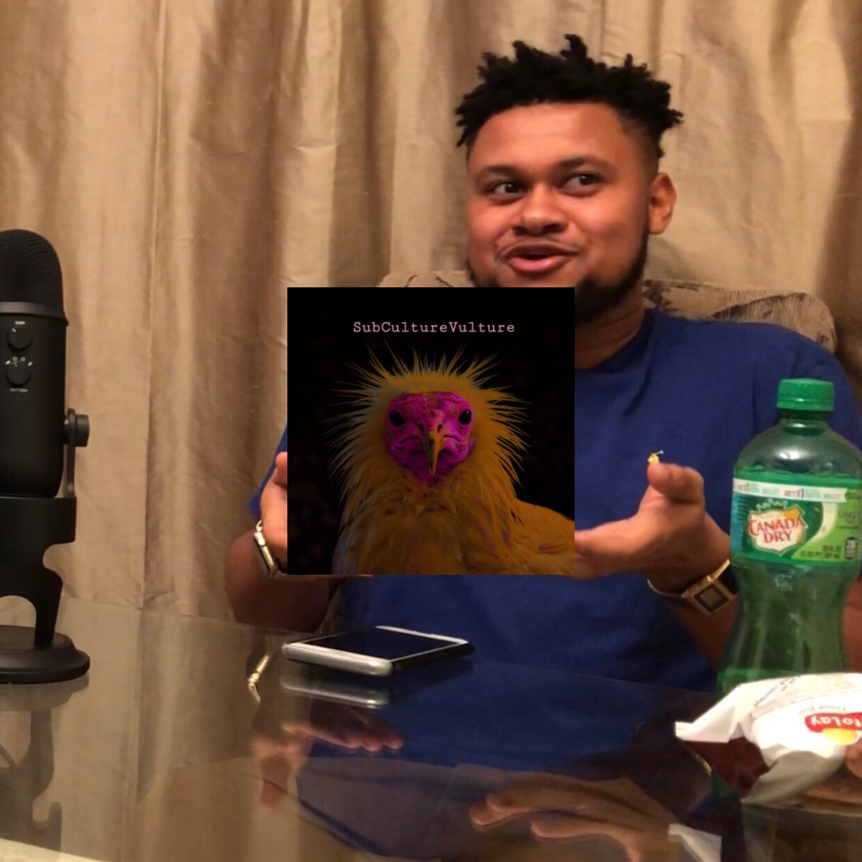 SubCultureVulture