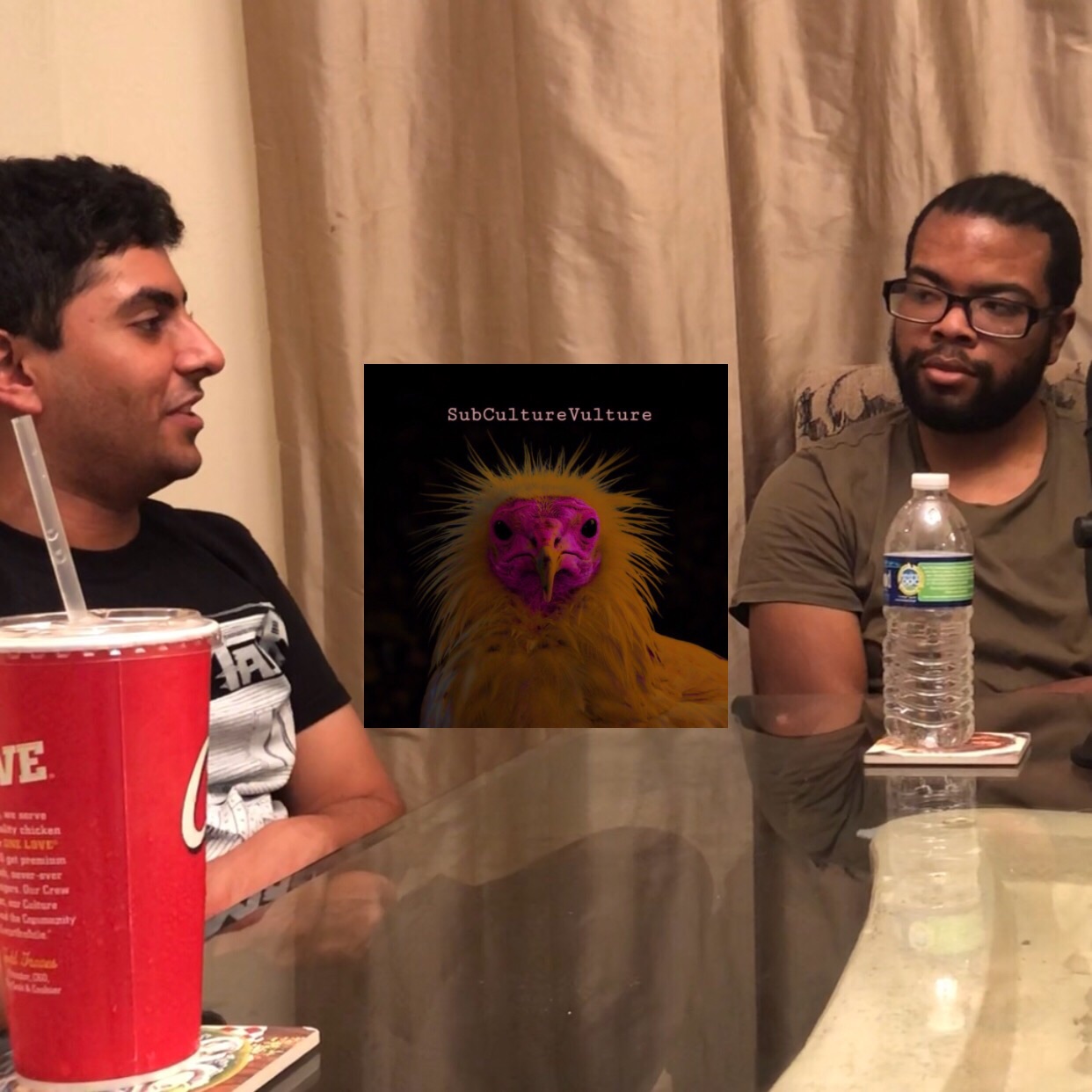 SubCultureVulture