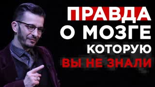 Правда о мозге для интеллектуального меньшинства Правда о мозге для интеллектуального меньшинства