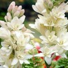 Aate_Jaate_Hanste_Gaate_1516367301513.m4a