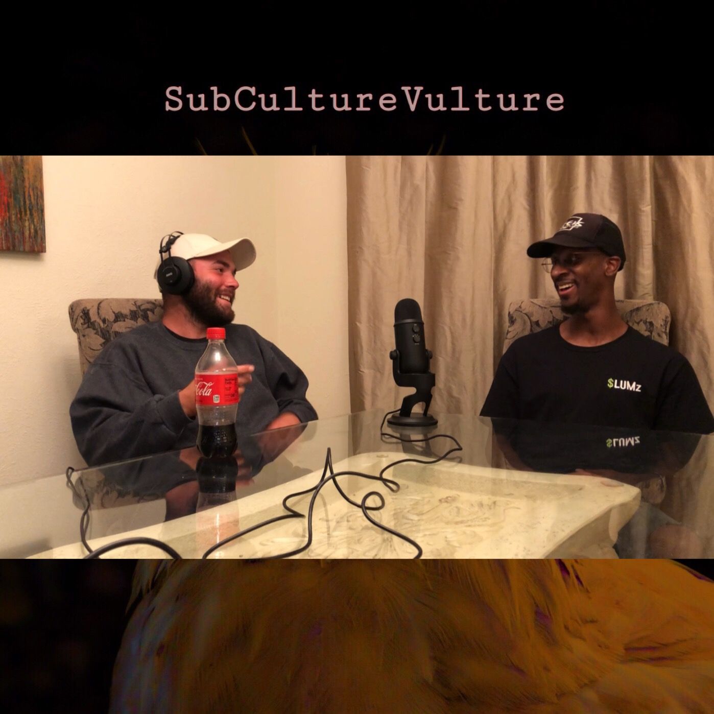 SubCultureVulture