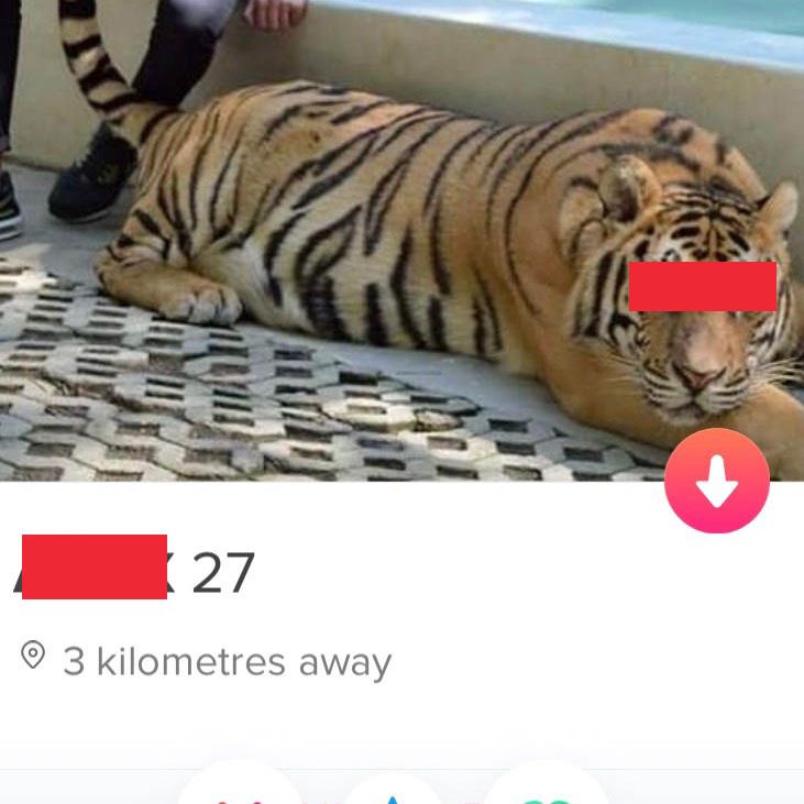 To All the Boys We've Swiped Before