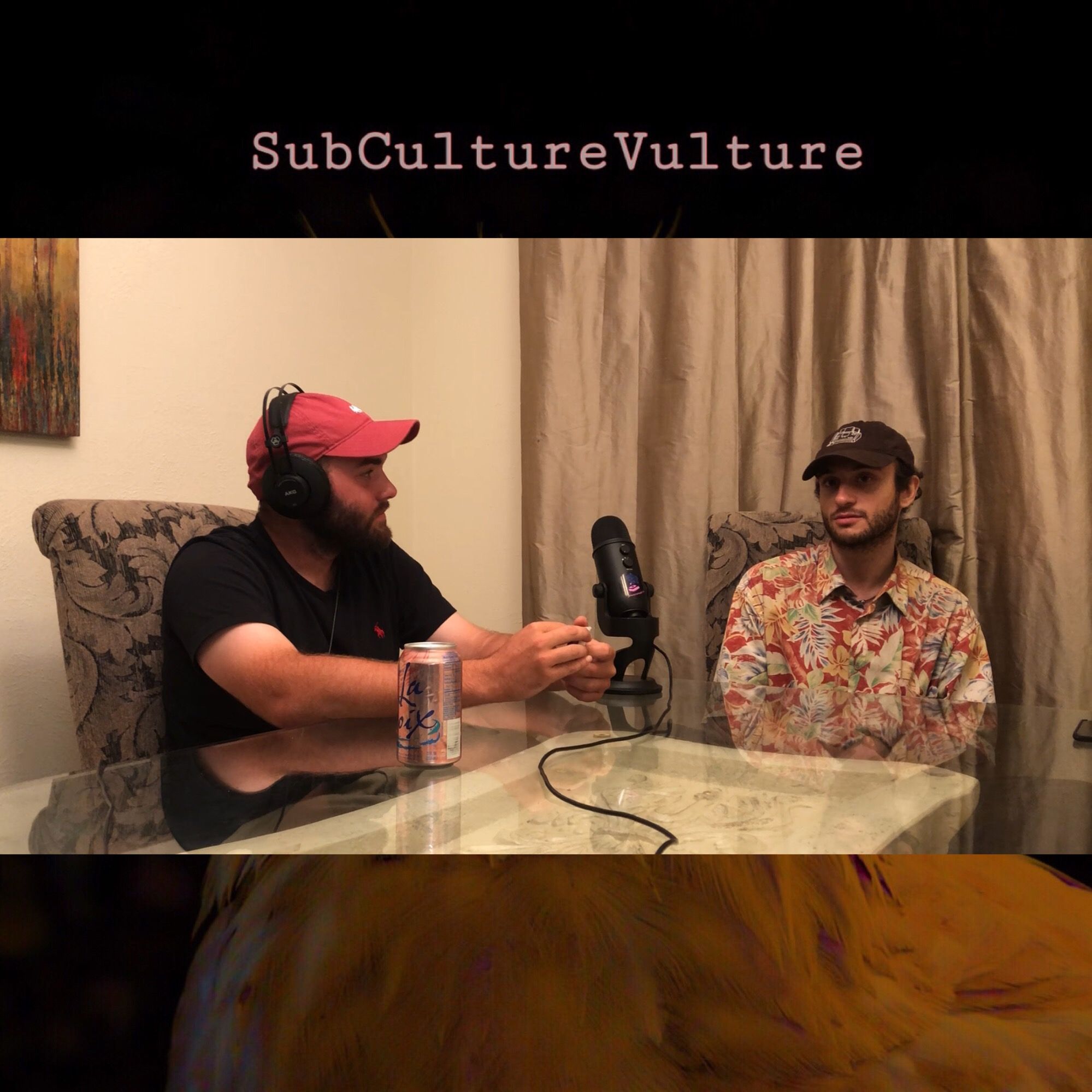 SubCultureVulture
