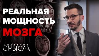 Память и мозг воспоминаний не существует Память и мозг воспоминаний не существует