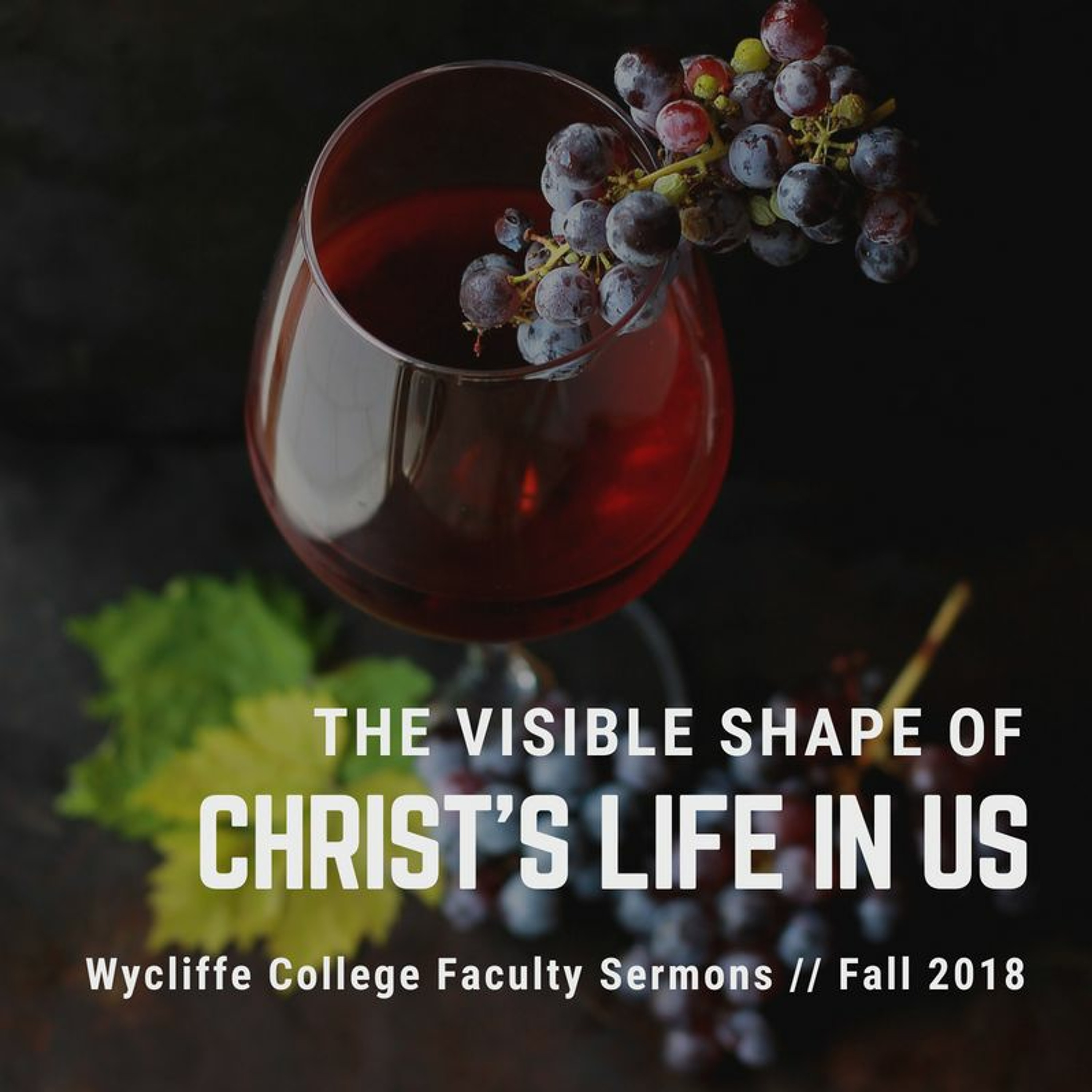 Wycliffe College
