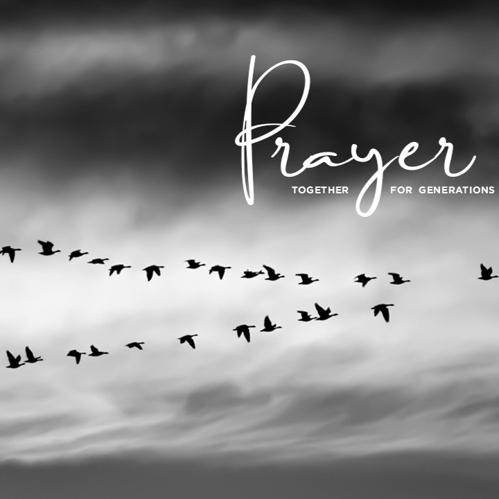 The Rough Chapter