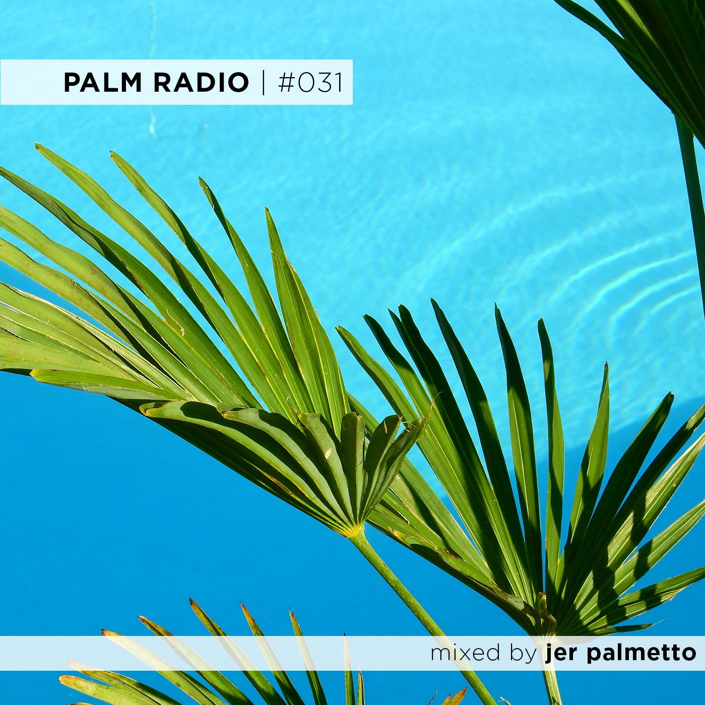 Palm Radio | #031