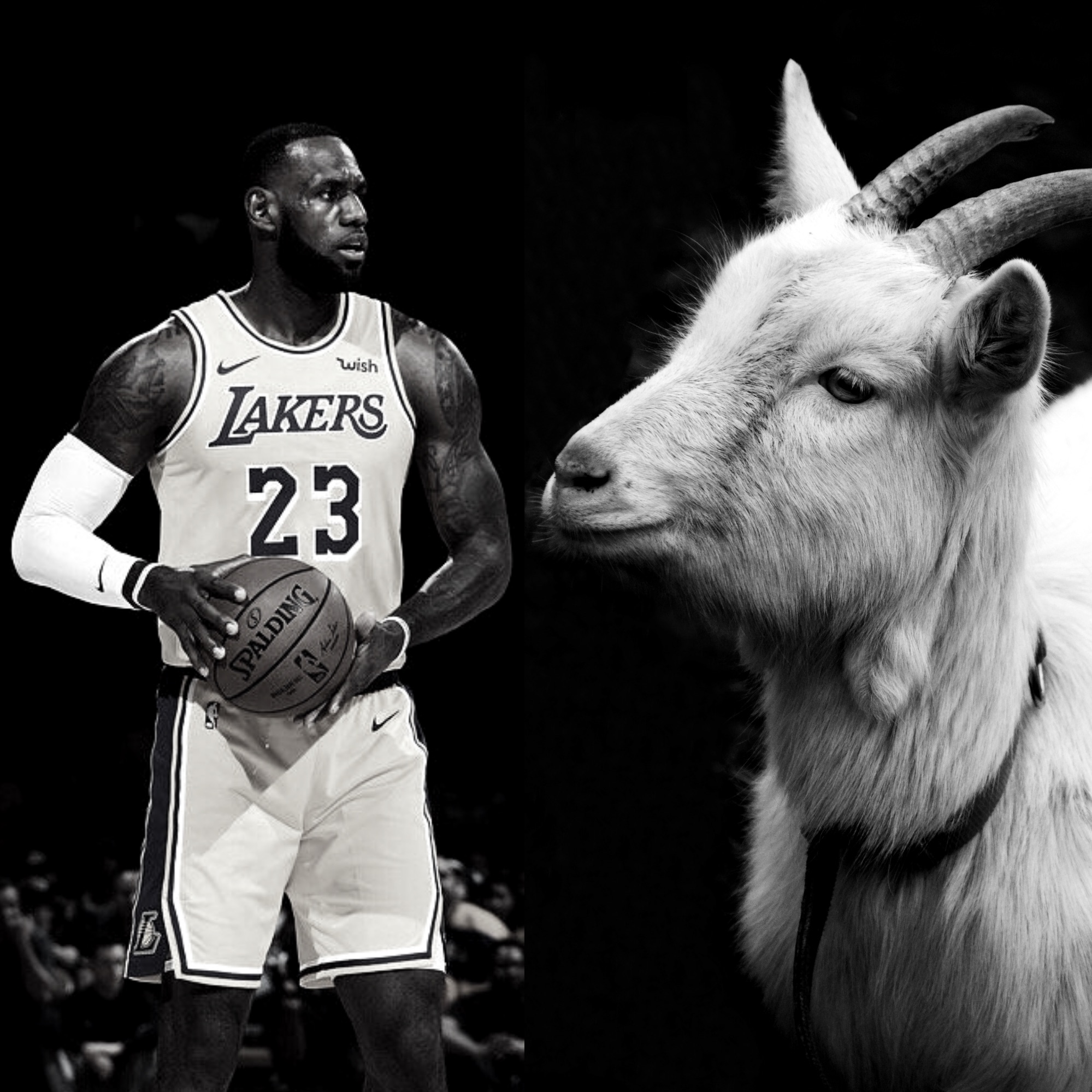 LeBron James is the GOAT and it's NOT EVEN CLOSE