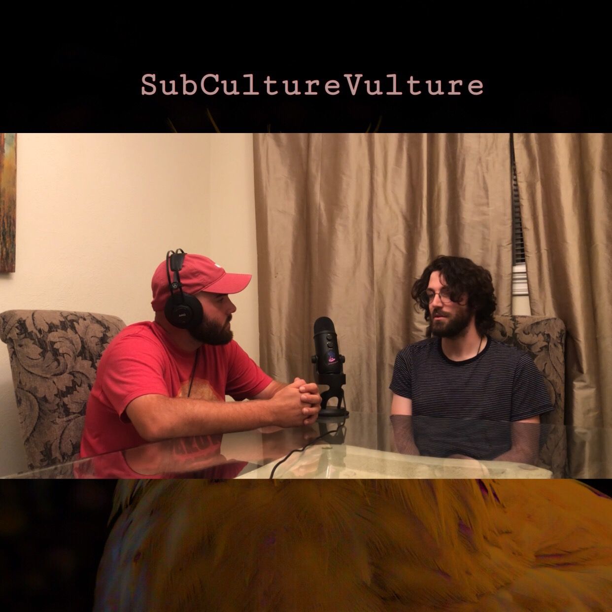 SubCultureVulture