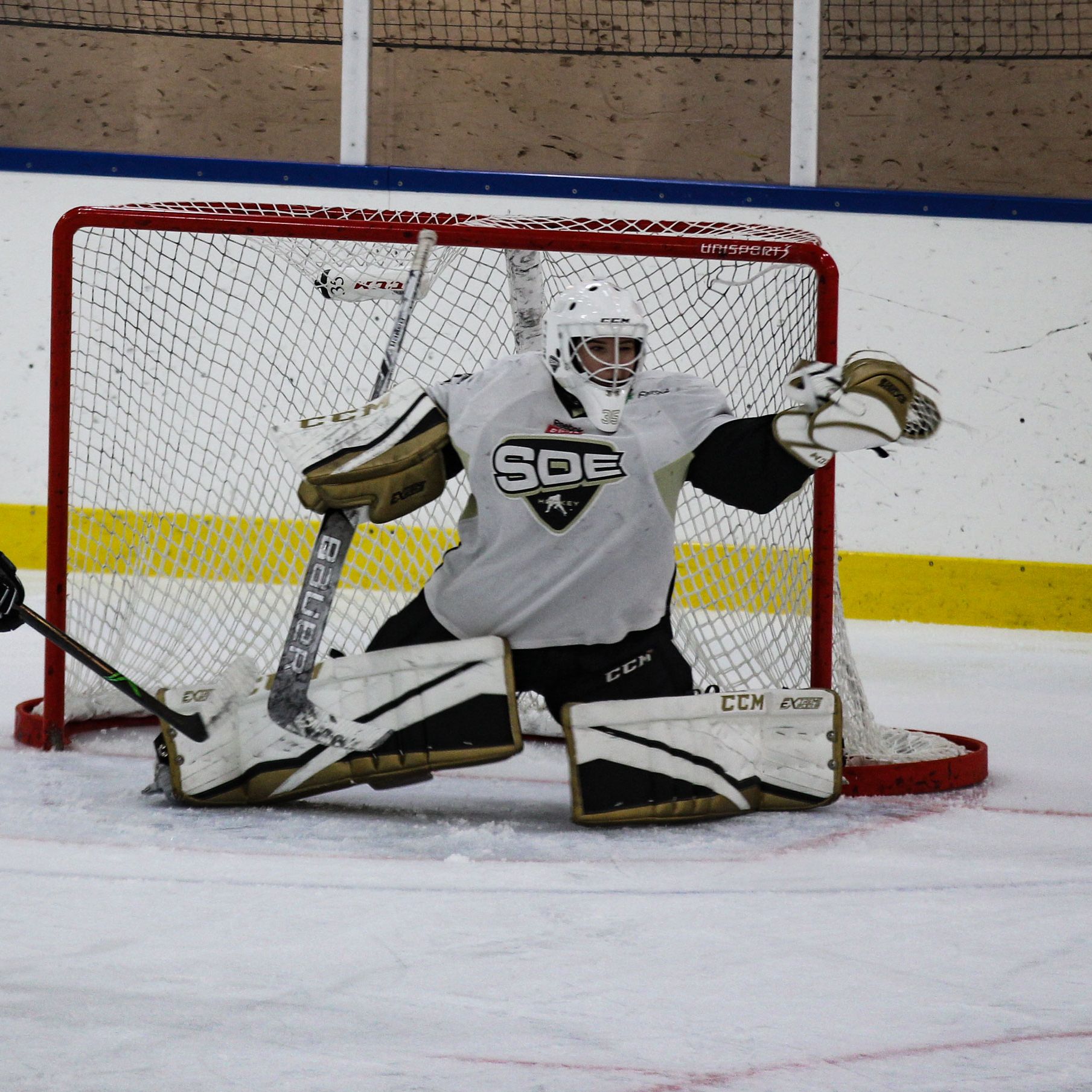 Sofia Reideborn, SDE Sofia Reideborn, SDE