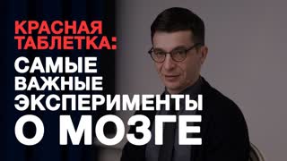 Эксперименты из «Красной таблетки». Встреча с участниками Академии смысла. Эксперименты из «Красной таблетки». Встреча с участниками Академии смысла.