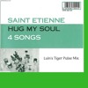 Saint Etienne - Hug My Soul (Luin's Tiger Pulse Mix)