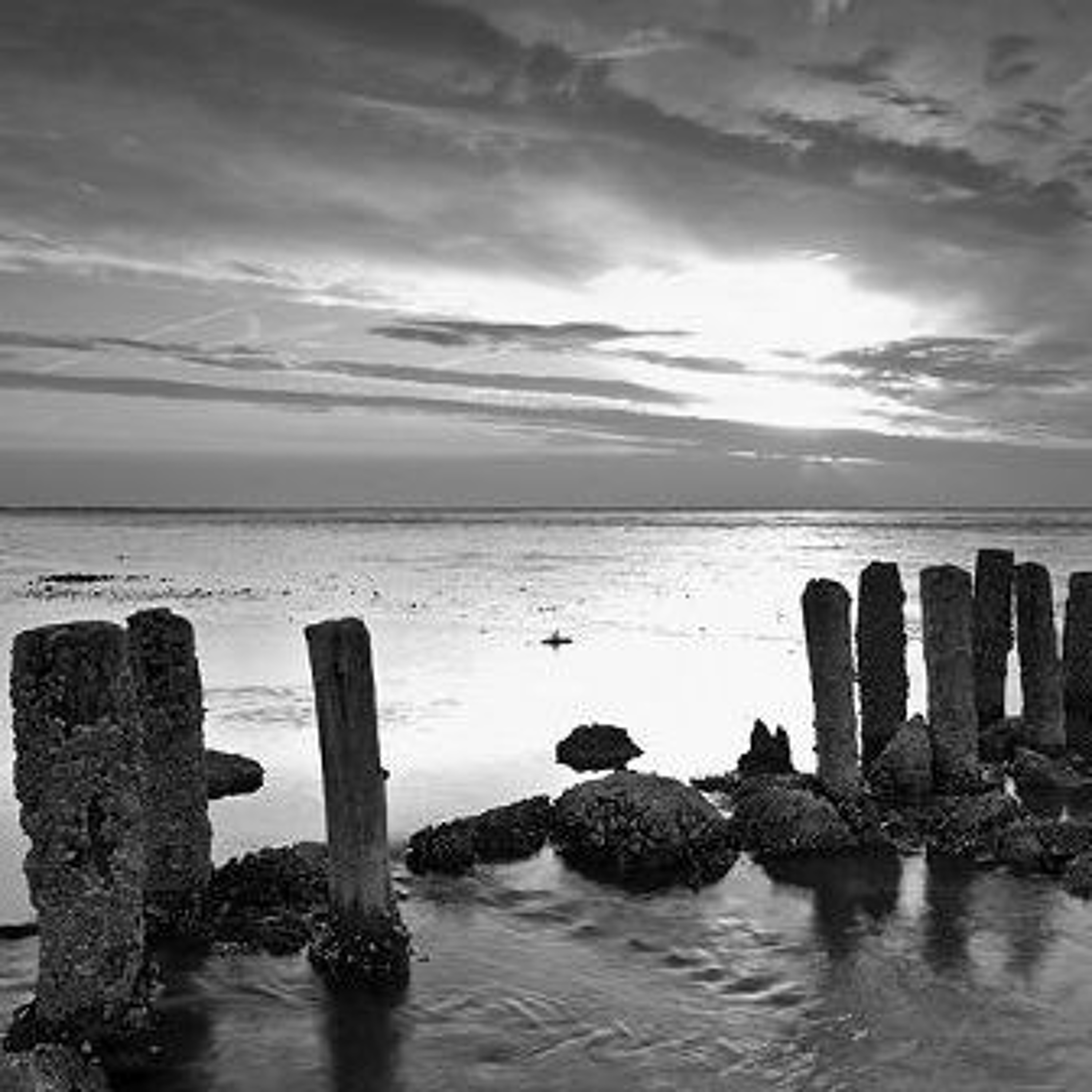 UITGELEZEN: ZKV (zeer korte verhalen)