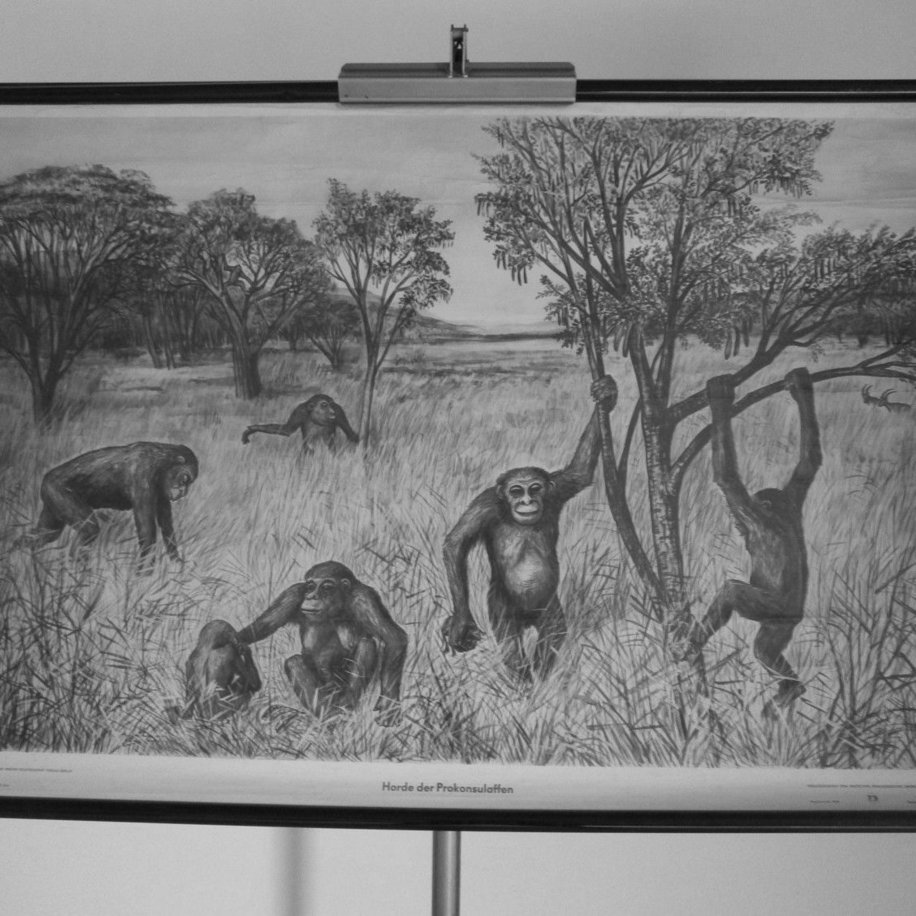 UITGELEZEN: ZKV (zeer korte verhalen)