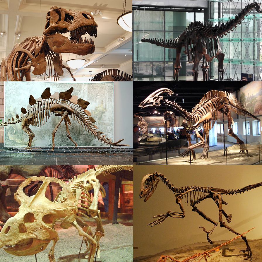 #58: Dinosaurs - A Geological Murder Mystery