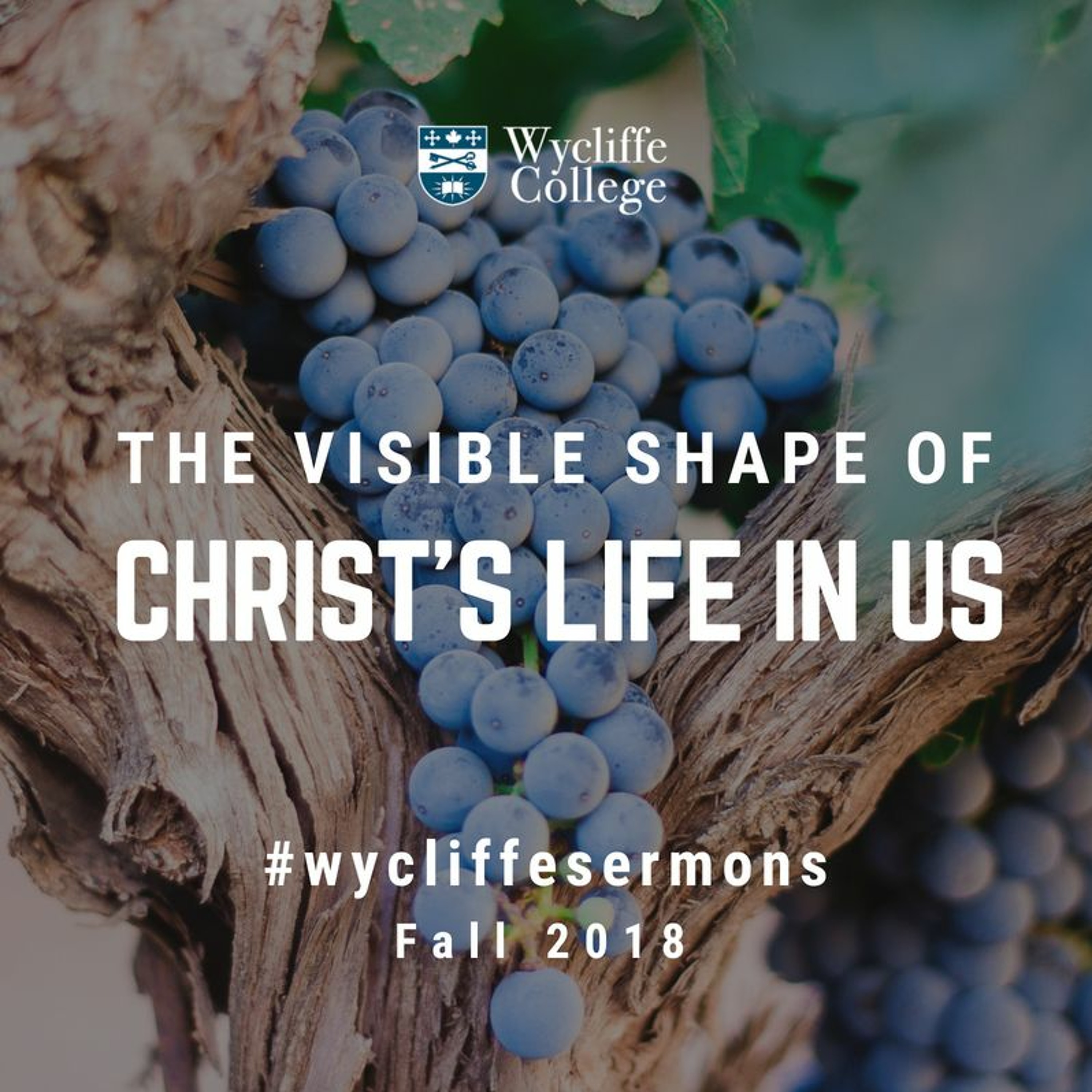 Wycliffe College