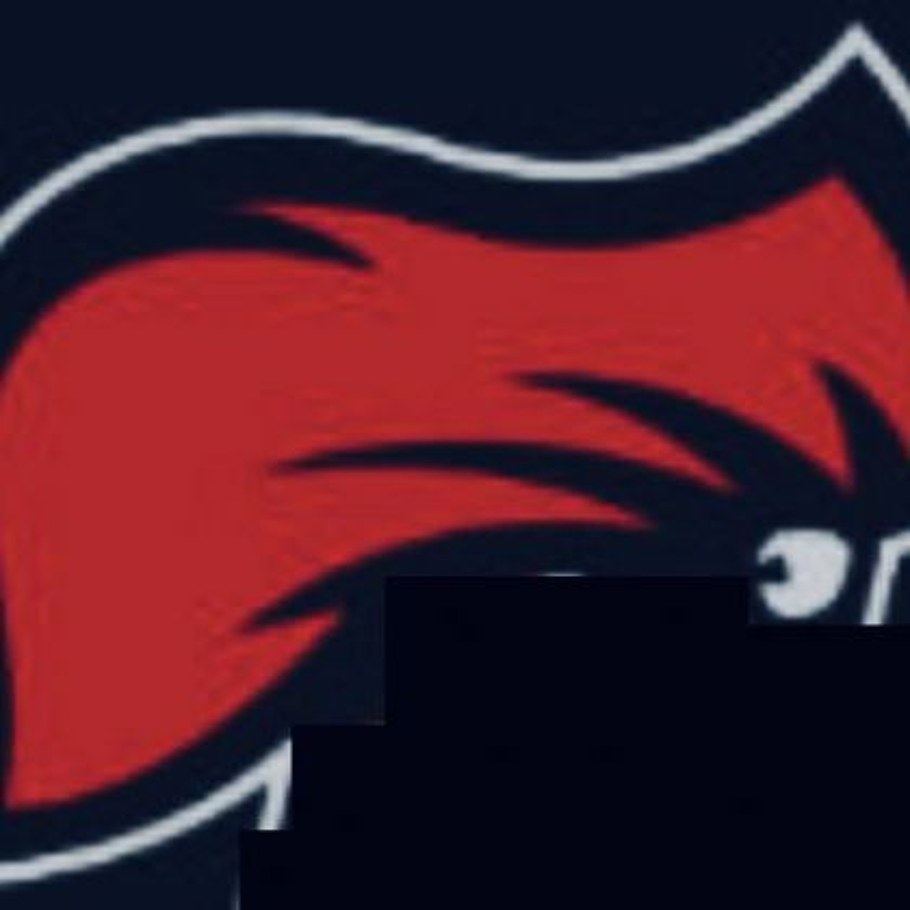 Red Capes: UFC 229