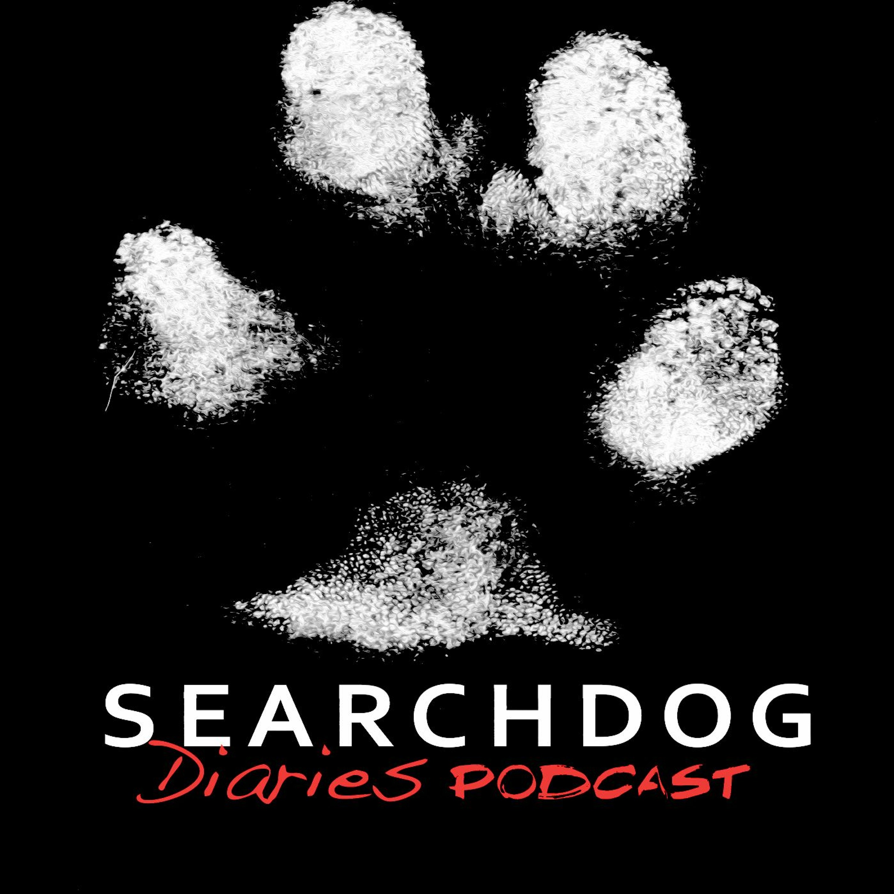 Searchdog Diaries Ep 1 (update)