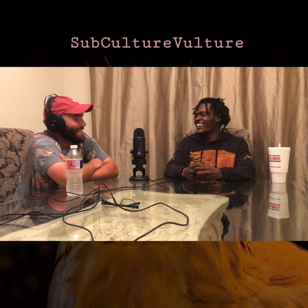 SubCultureVulture