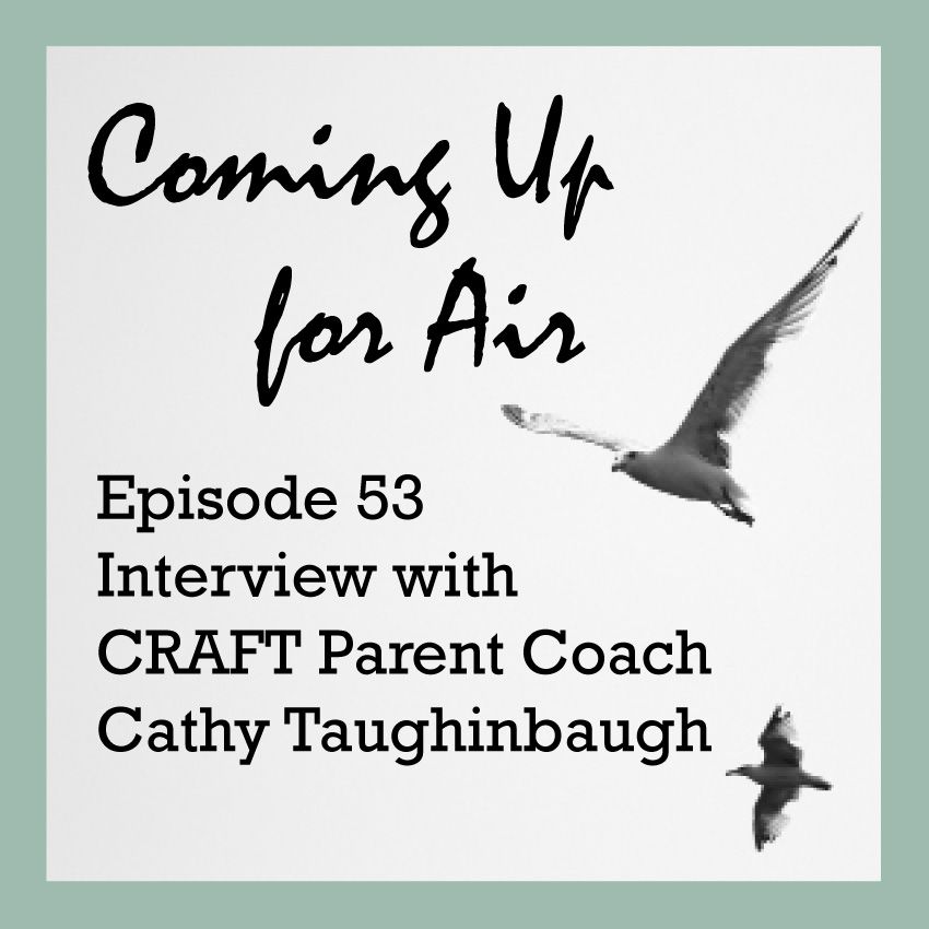 Podcast #53 Interview with Parent Coach Cathy Taughinbaugh