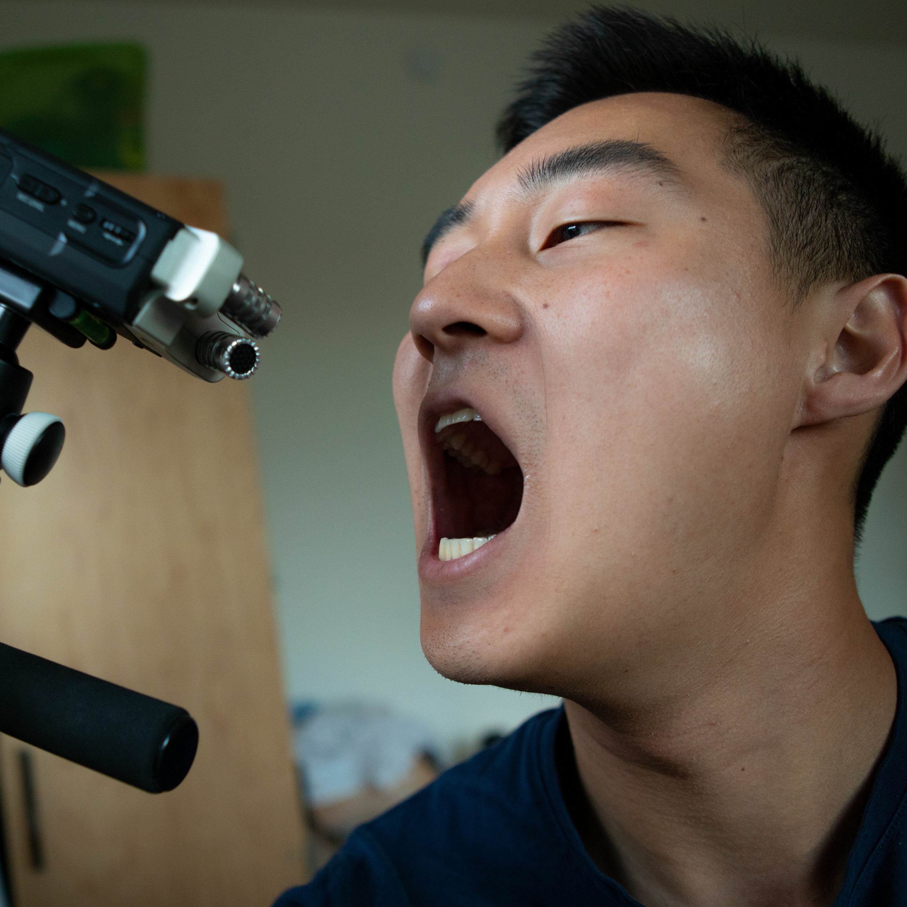 alightedCasts
