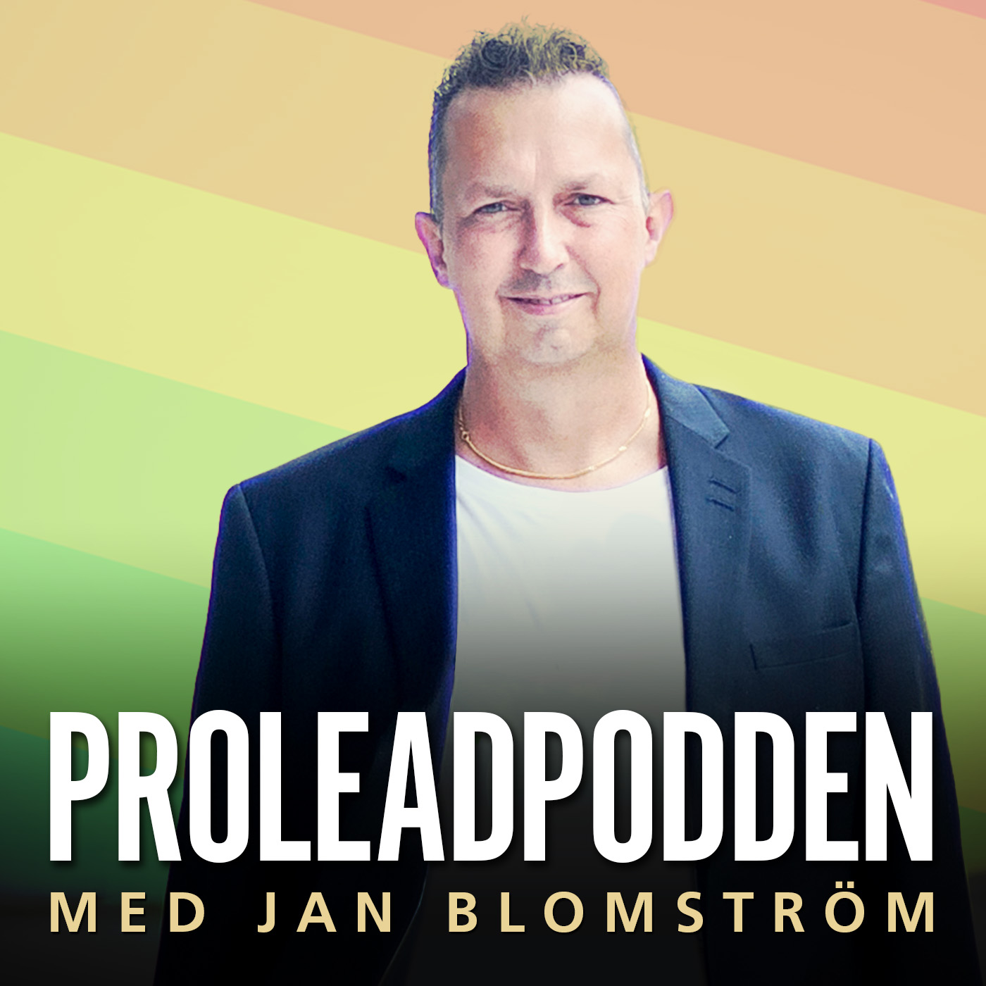 #57 Stefan Laffranchi | VD Diploma utbildning AB - Om E-kurser och digital utbildning