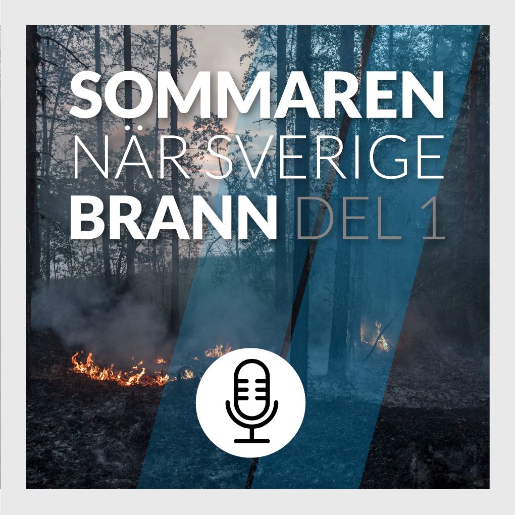 Del 1/3: Sommaren när Sverige brann