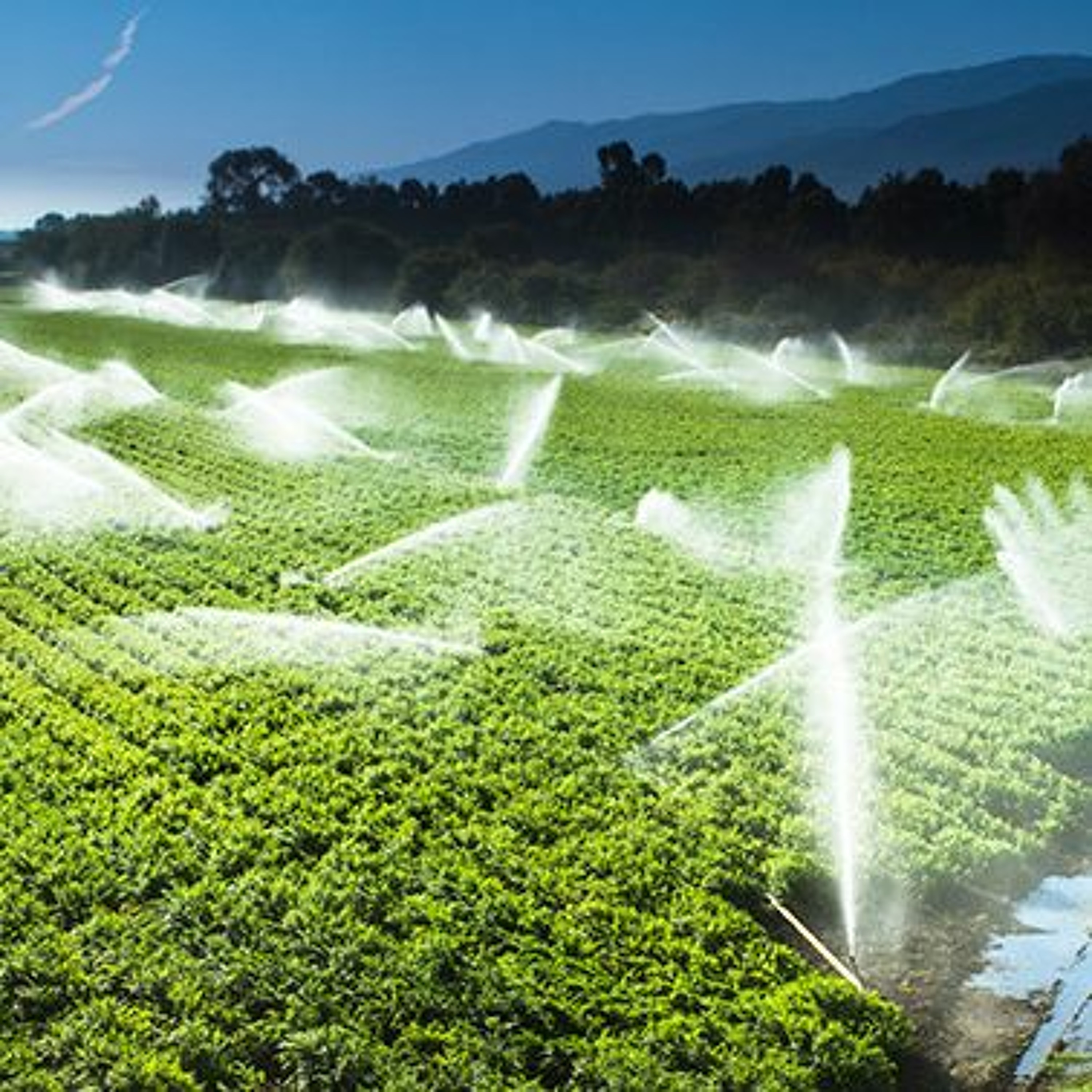 California Groundbreakers