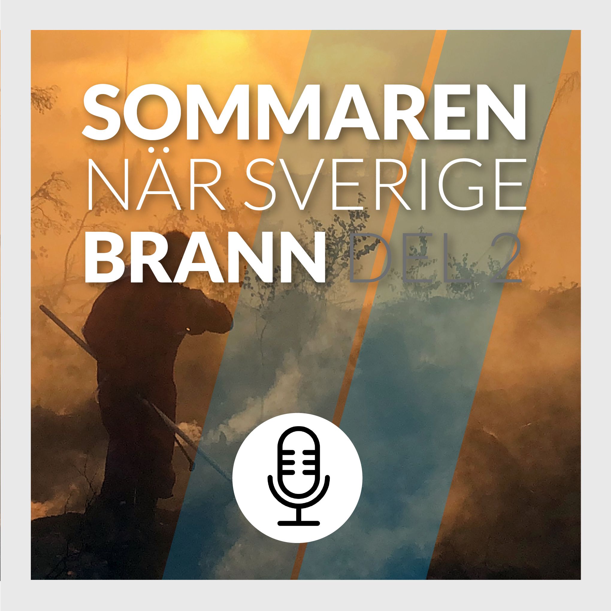 Del 2/3: Sommaren när Sverige brann