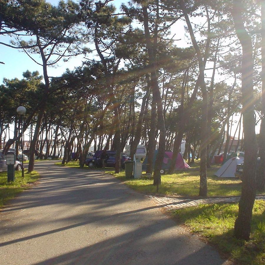 Episódio 3- Linha reta entre Cascais do Norte e o Avec Paradise