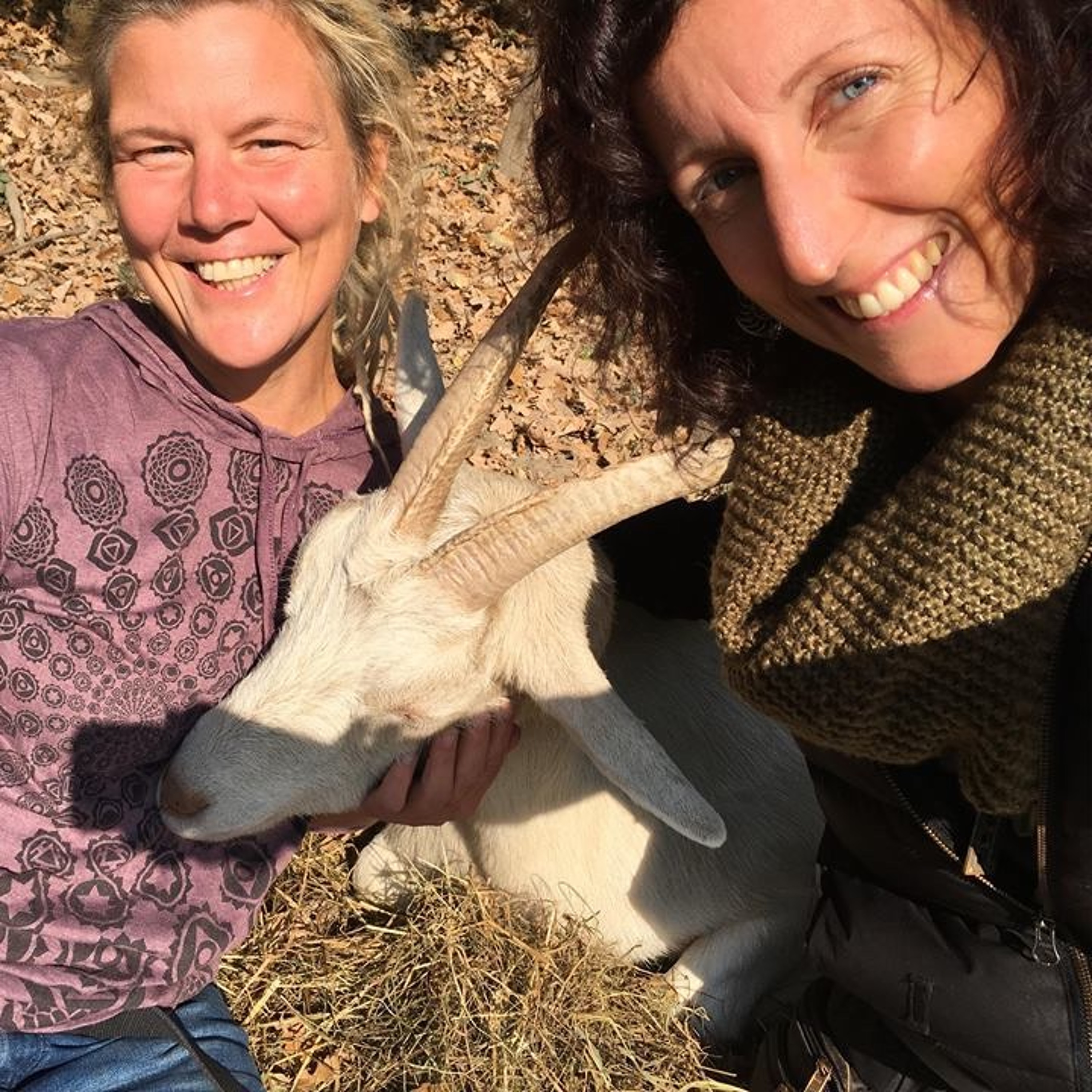 Podcast Aussteigen & Ankommen