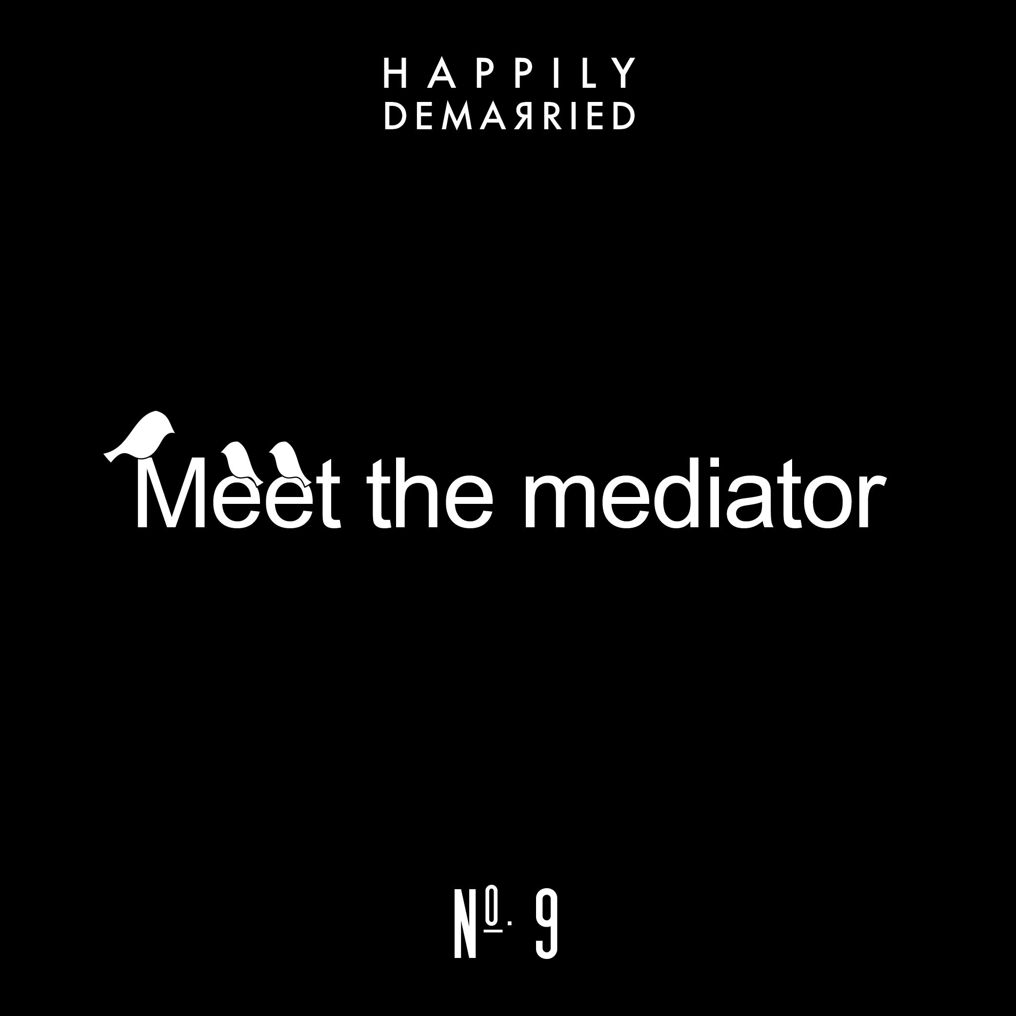 Episode No. 9 Meet the Mediator