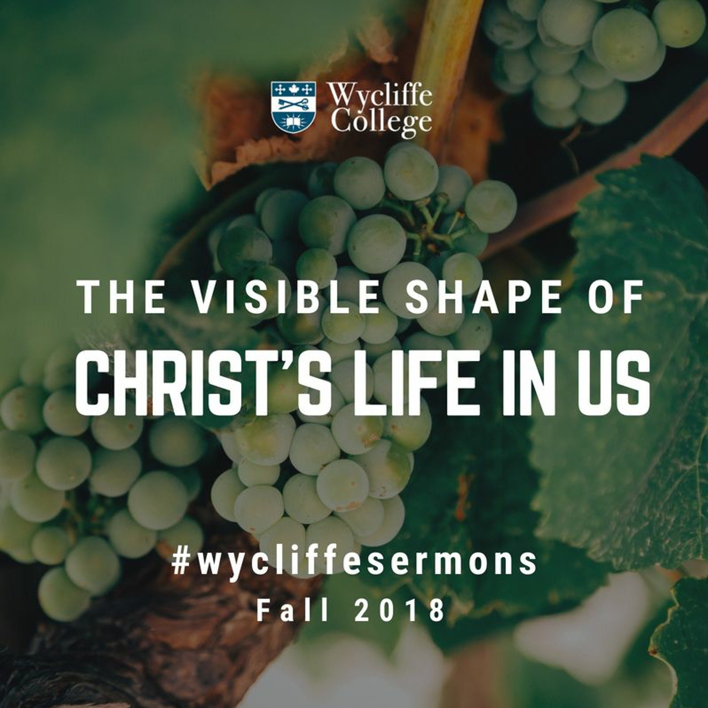 Wycliffe College