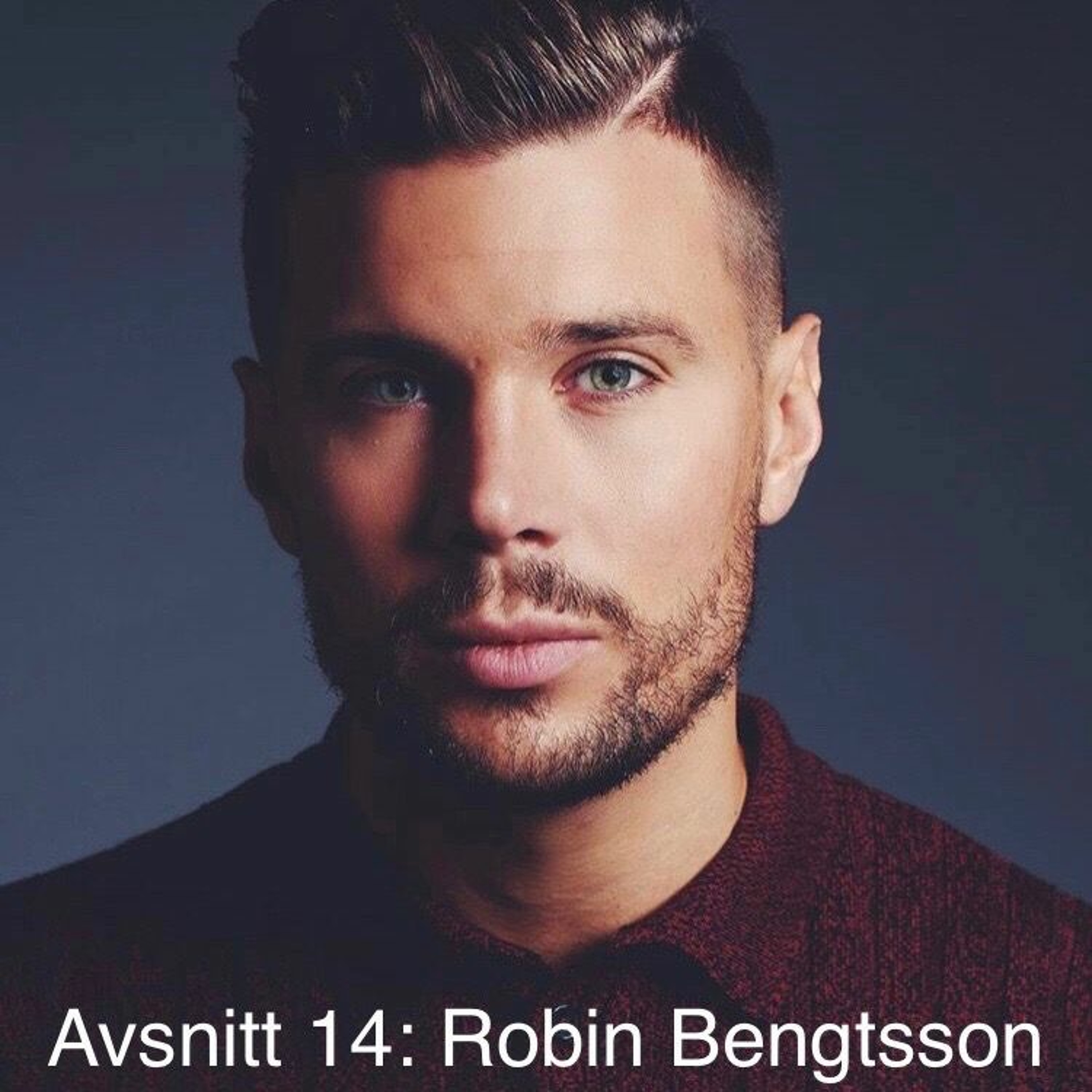 014. Robin Bengtsson