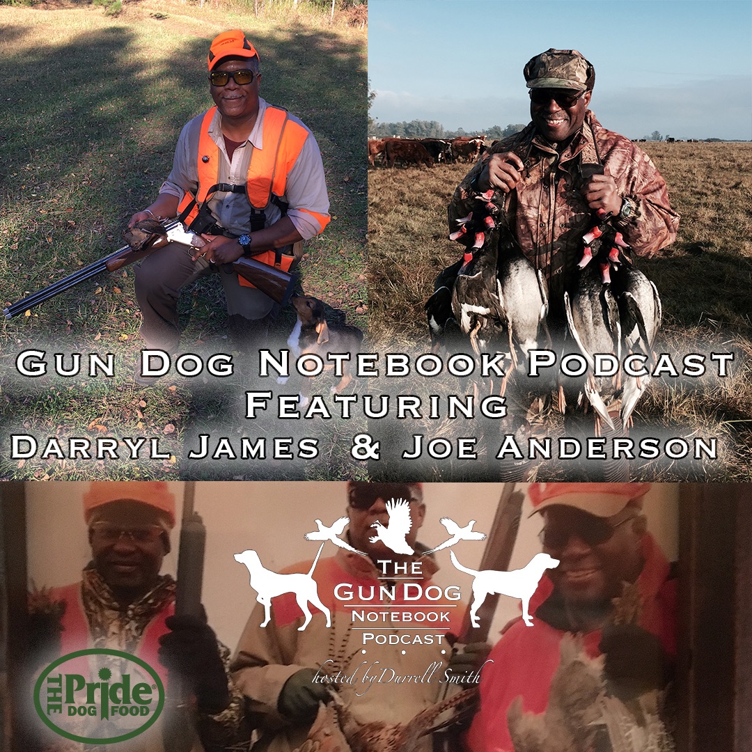 The Gun Dog Notebook • A podcast on Spotify for Podcasters