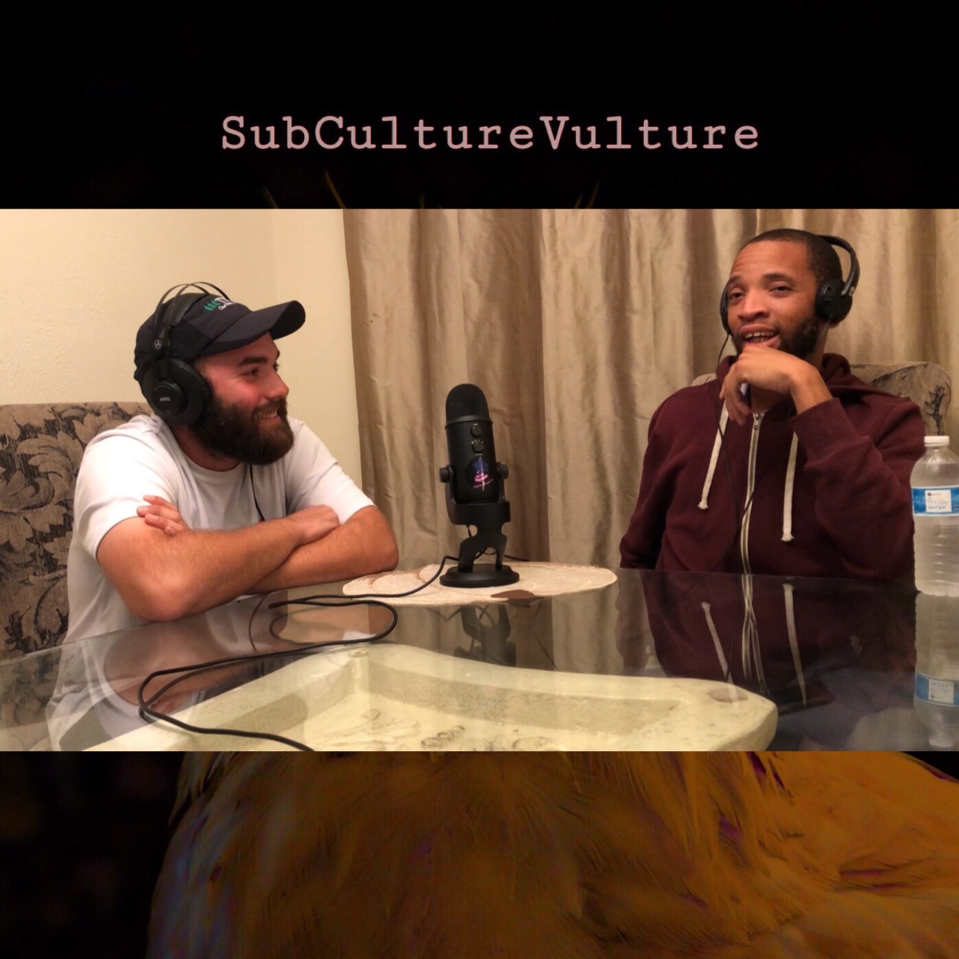 SubCultureVulture