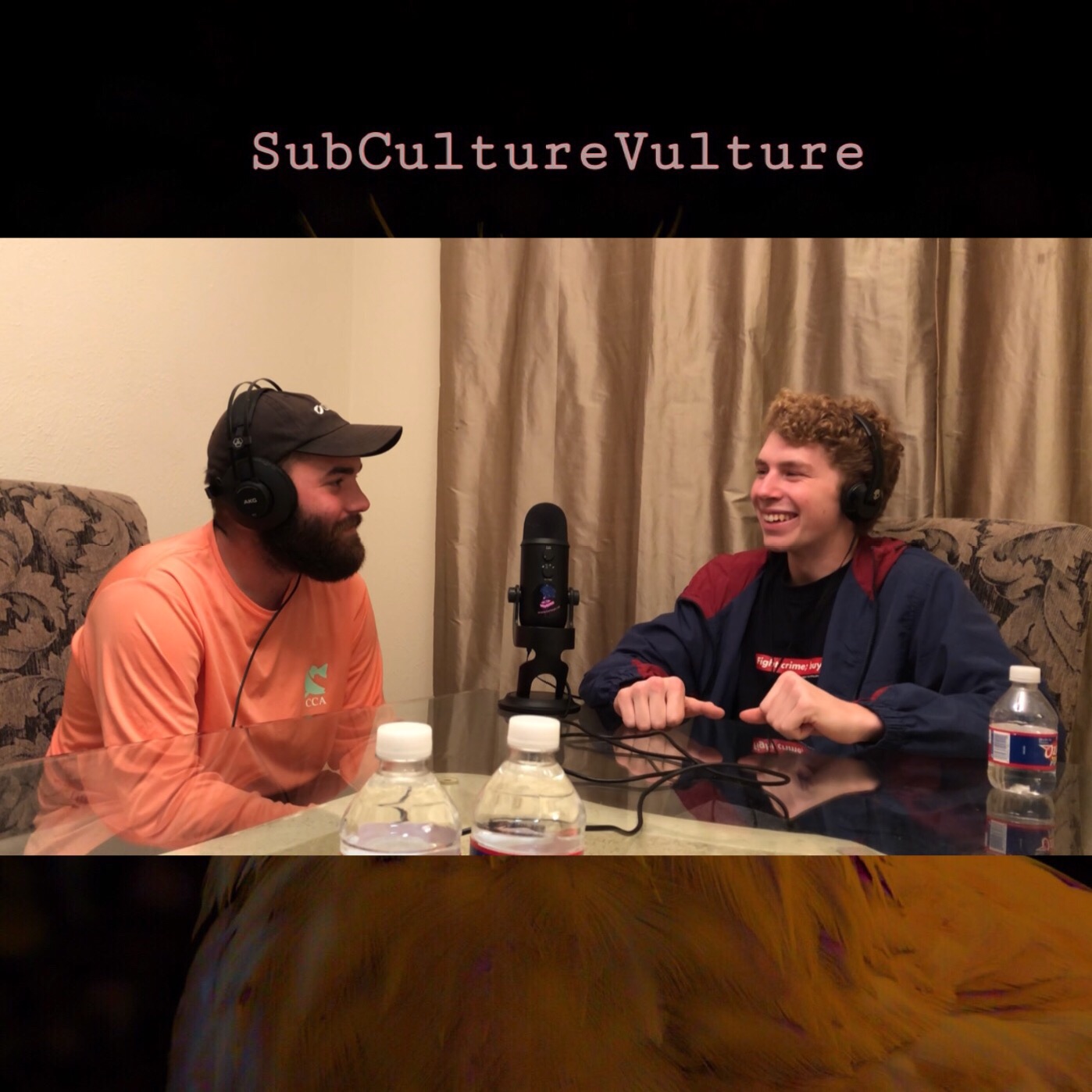 SubCultureVulture