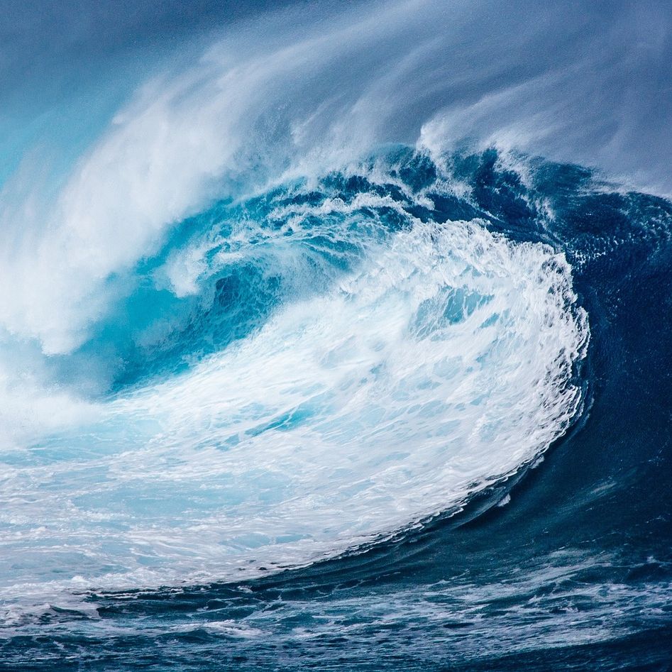 Ep. 64 - The Blue Wave Crashes Into Florida Man