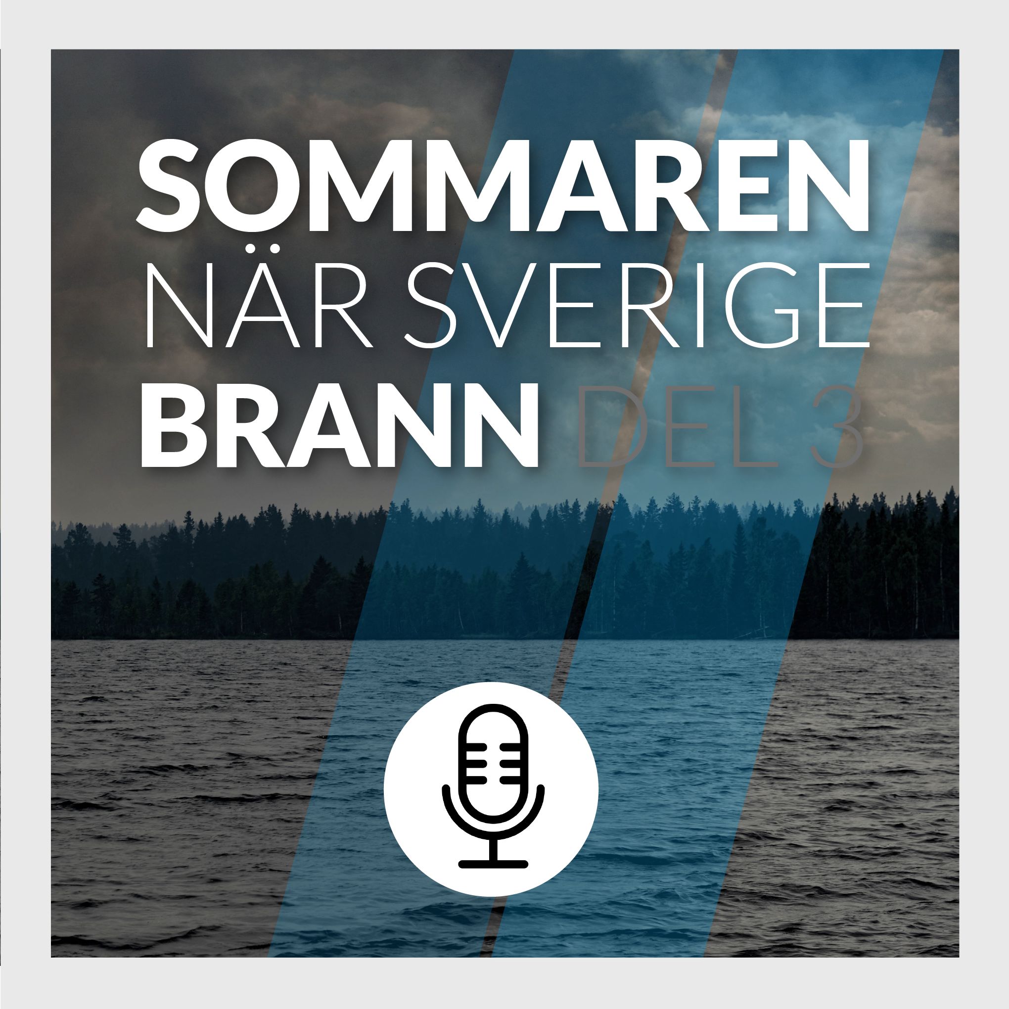 Del 3/3: Sommaren när Sverige brann