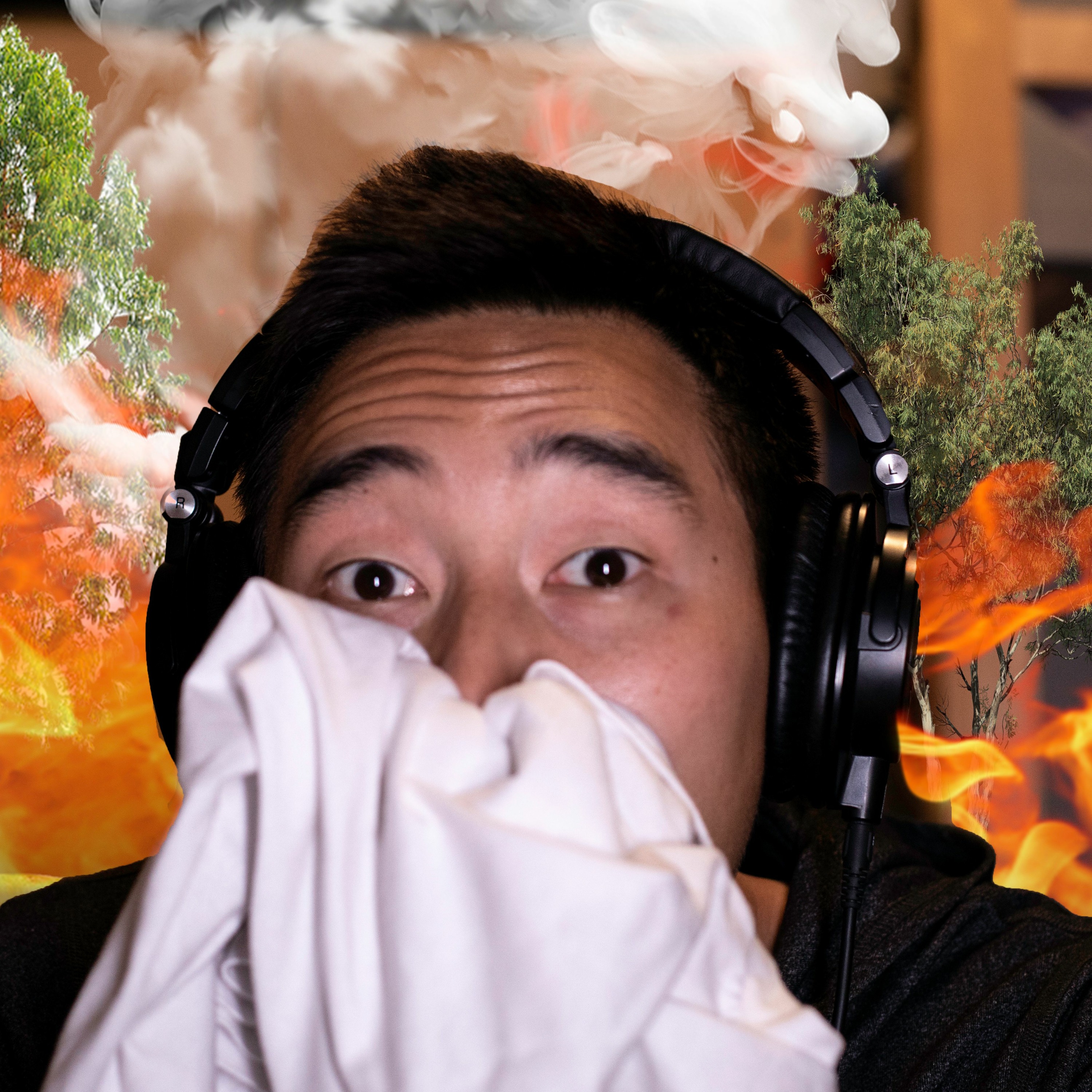 alightedCasts