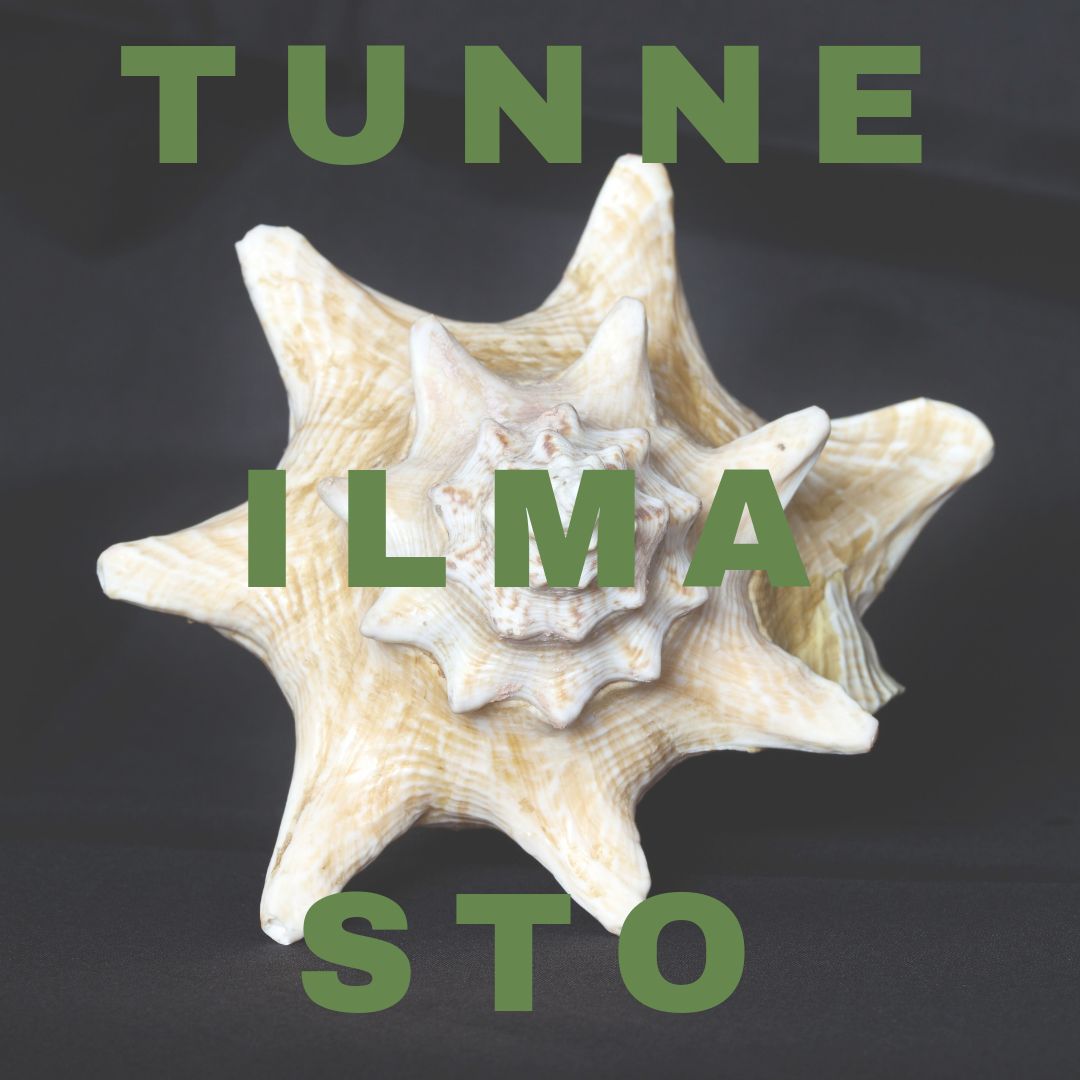 Jakso 8: Tunneilmasto