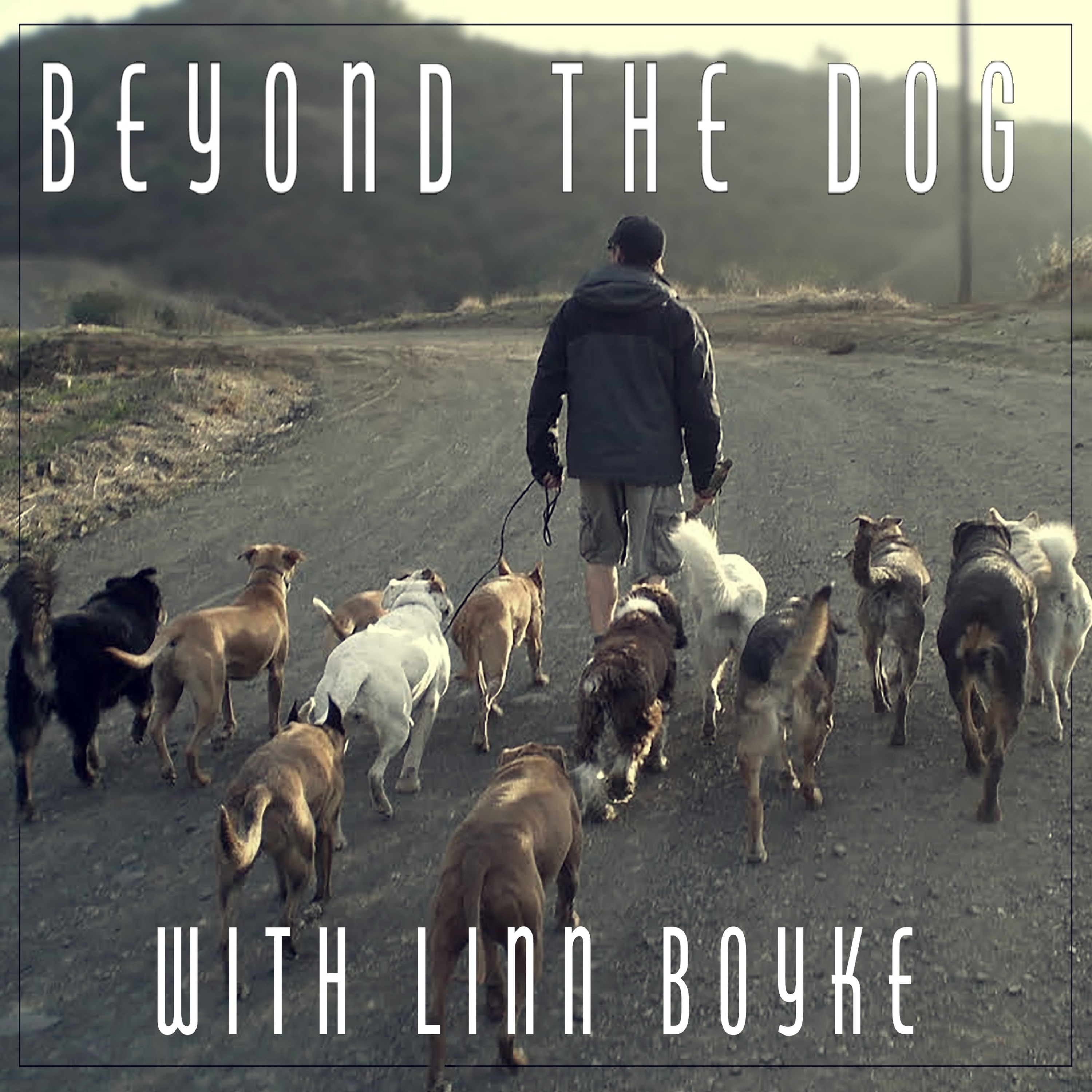 Beyond the Dog With Linn Boyke
