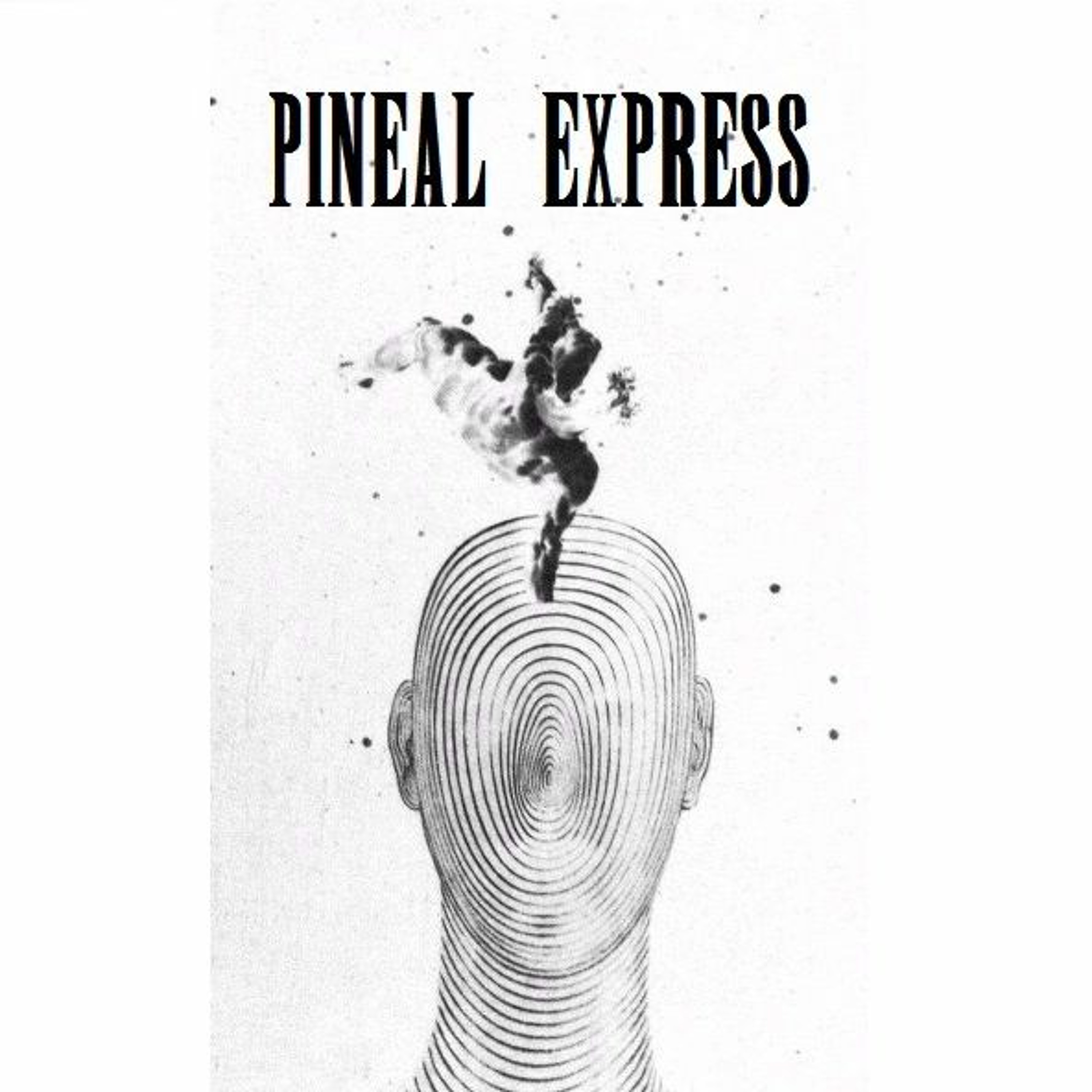 #11 - Preview - Derailments, Minutiae, and Tirades